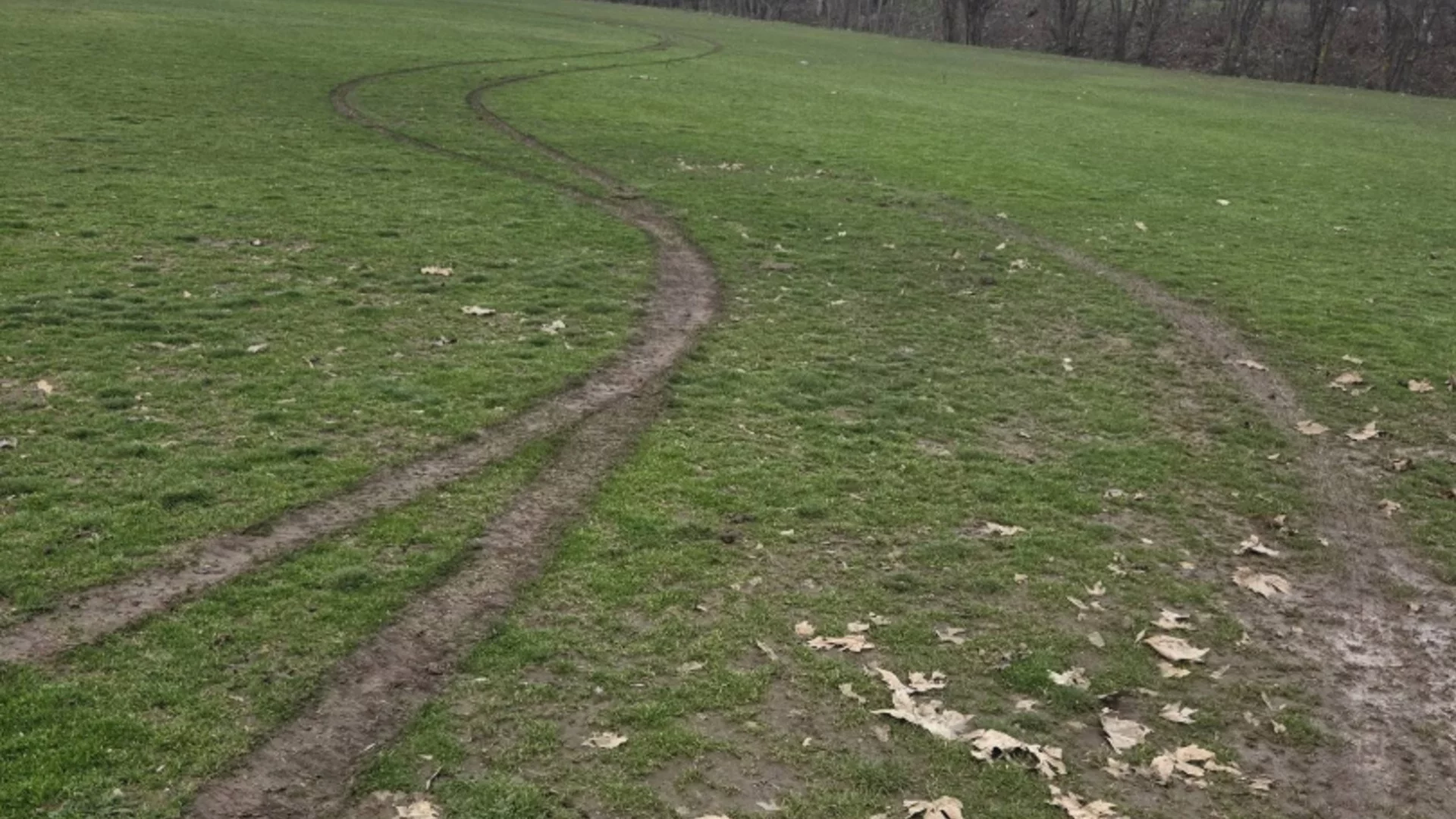 Скандал във Враца: вандал е съсипал терените на Ботев