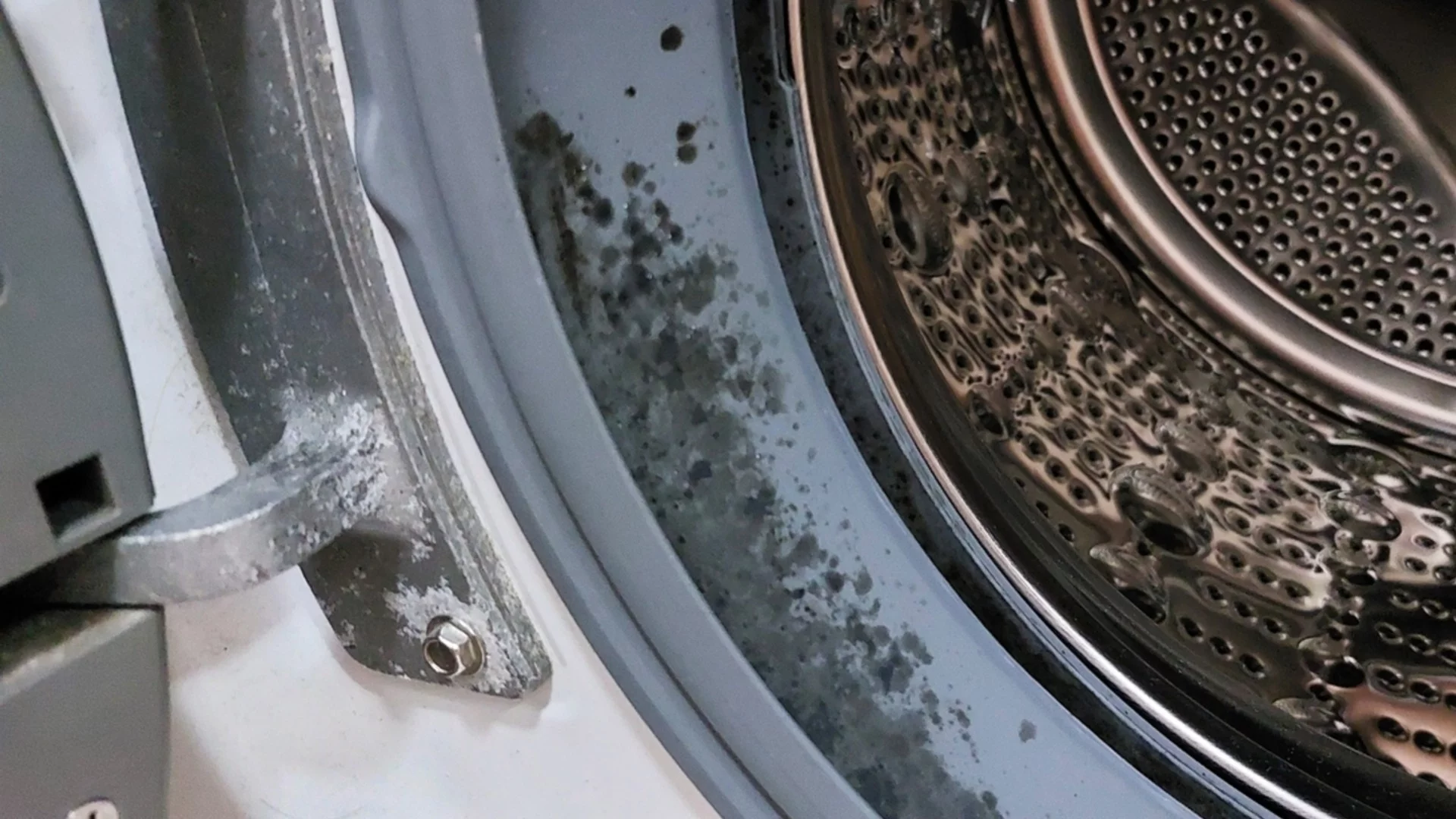 Само така е правилно да почистите гуменото уплътнение на пералнята си