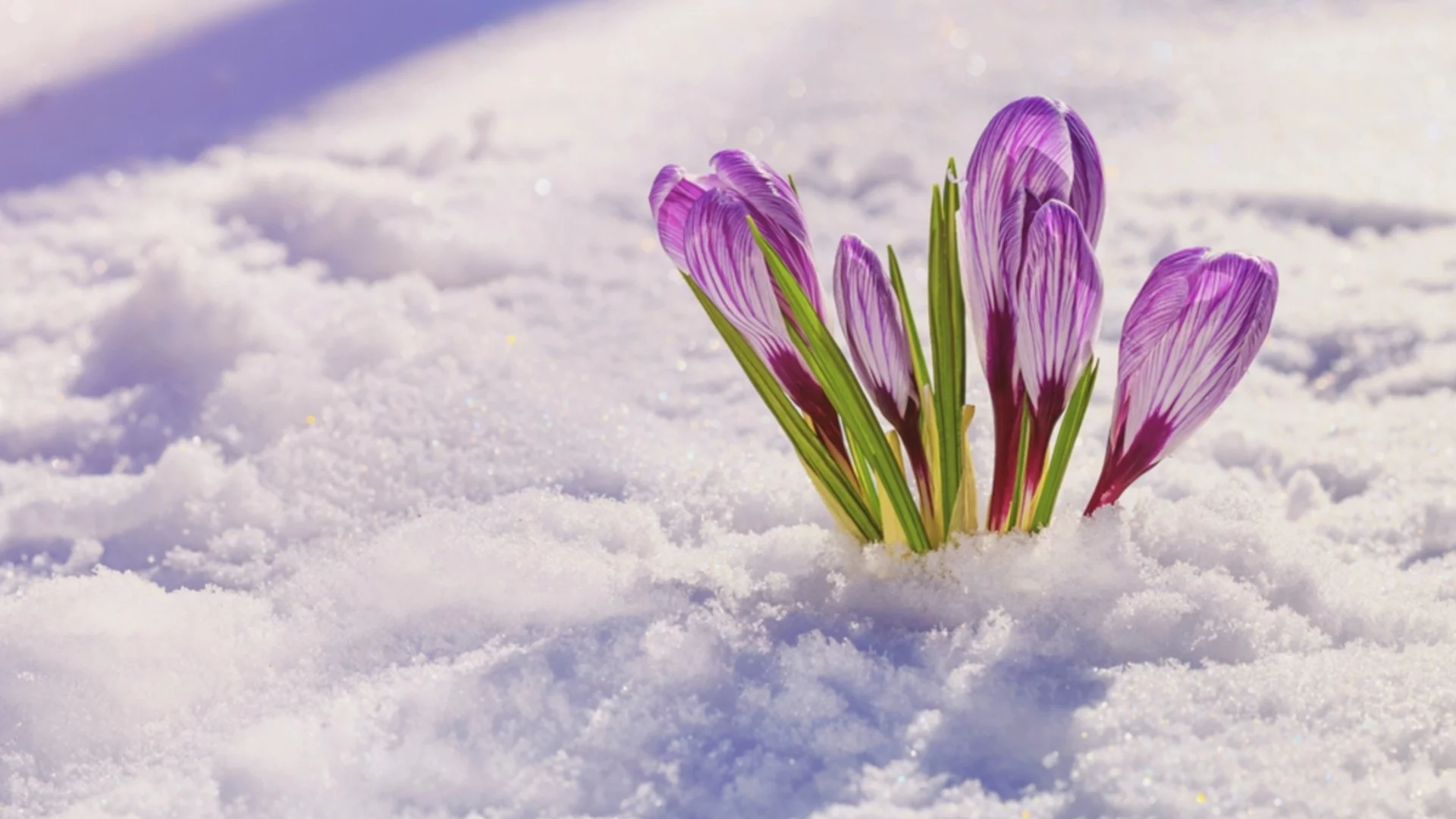 Прогноза за времето - 1 март 2026 г. (неделя)