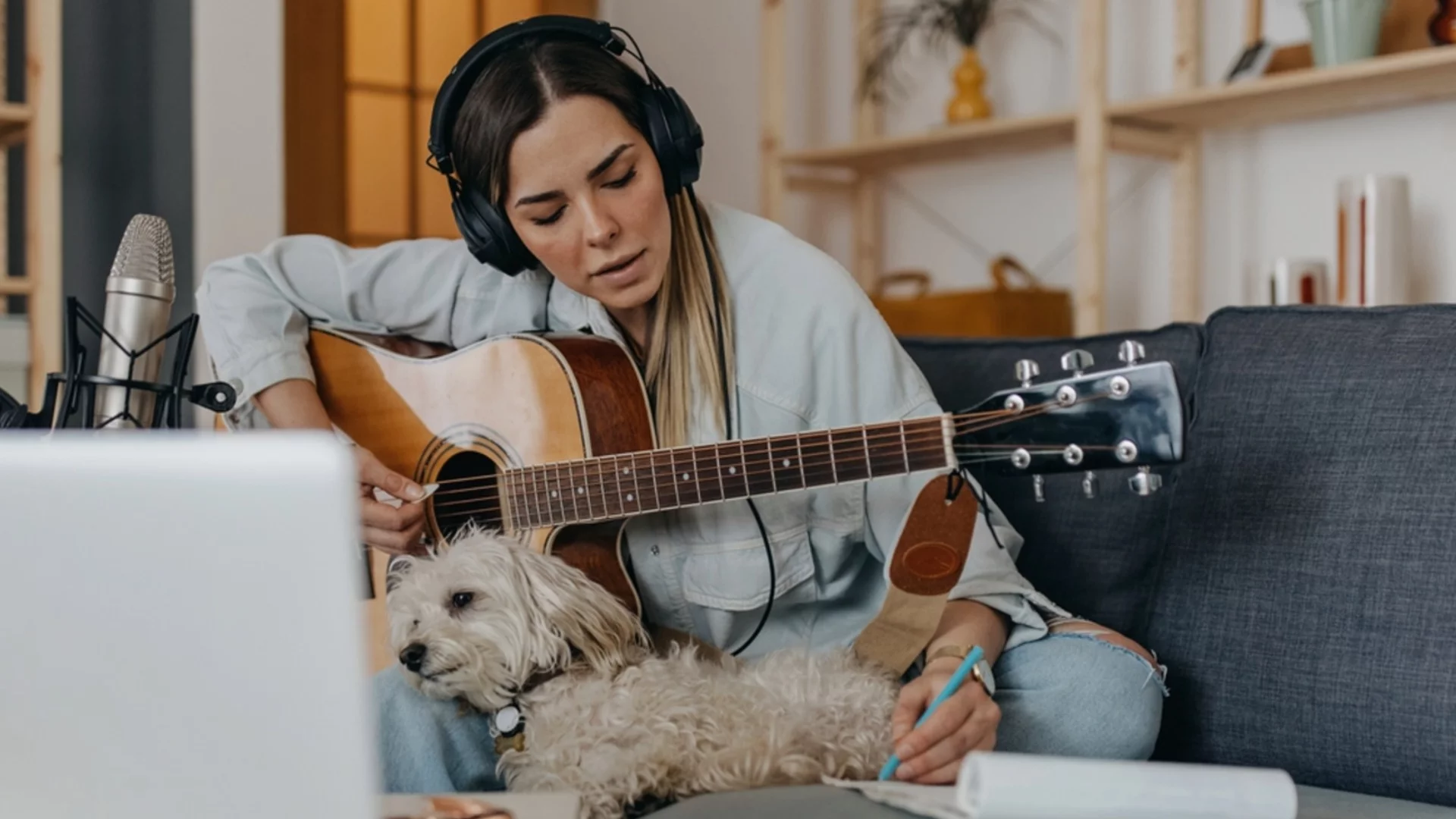 Как да премахнете миризмата на домашни любимци в дома си