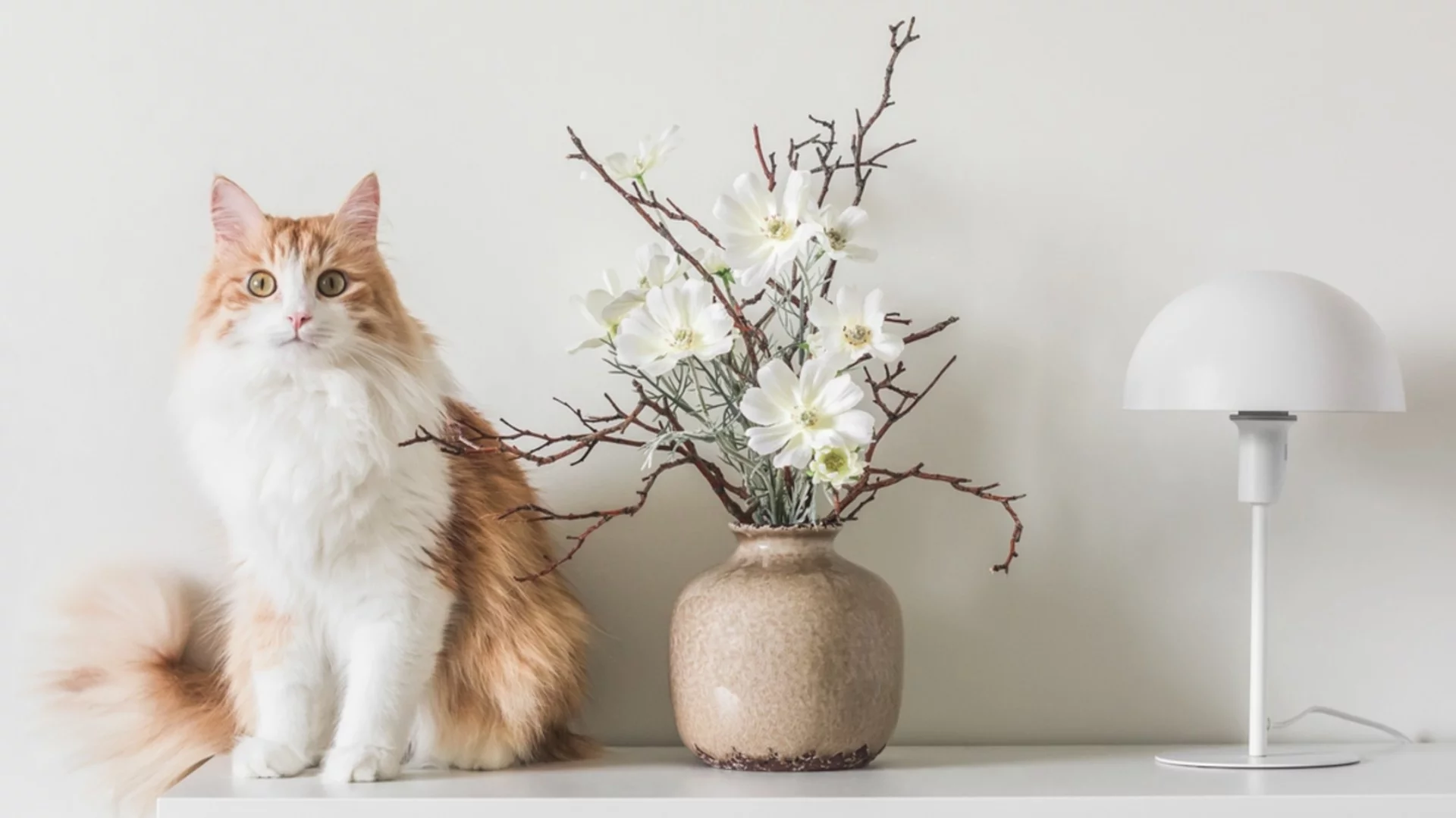 Сняг или слънце? Седмична прогноза за времето от 2 до 8 март 2026 г. 