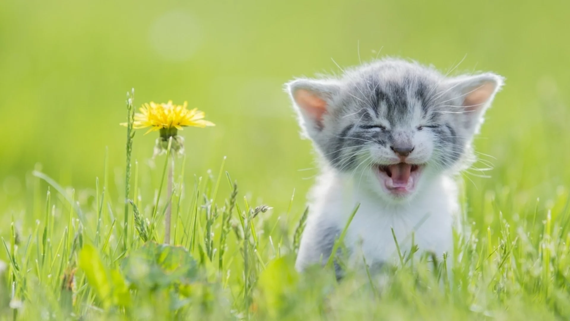 Прогноза за времето - 2 март 2026 г. (понеделник)