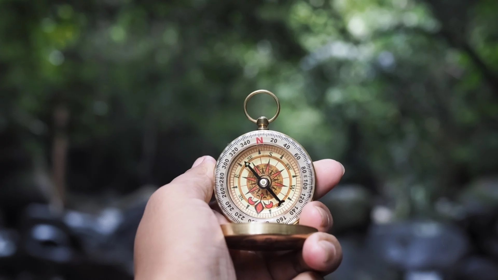 На 4 март: Числото 4 е Божествен компас, който насочва 4 зодии по пътя на щастието