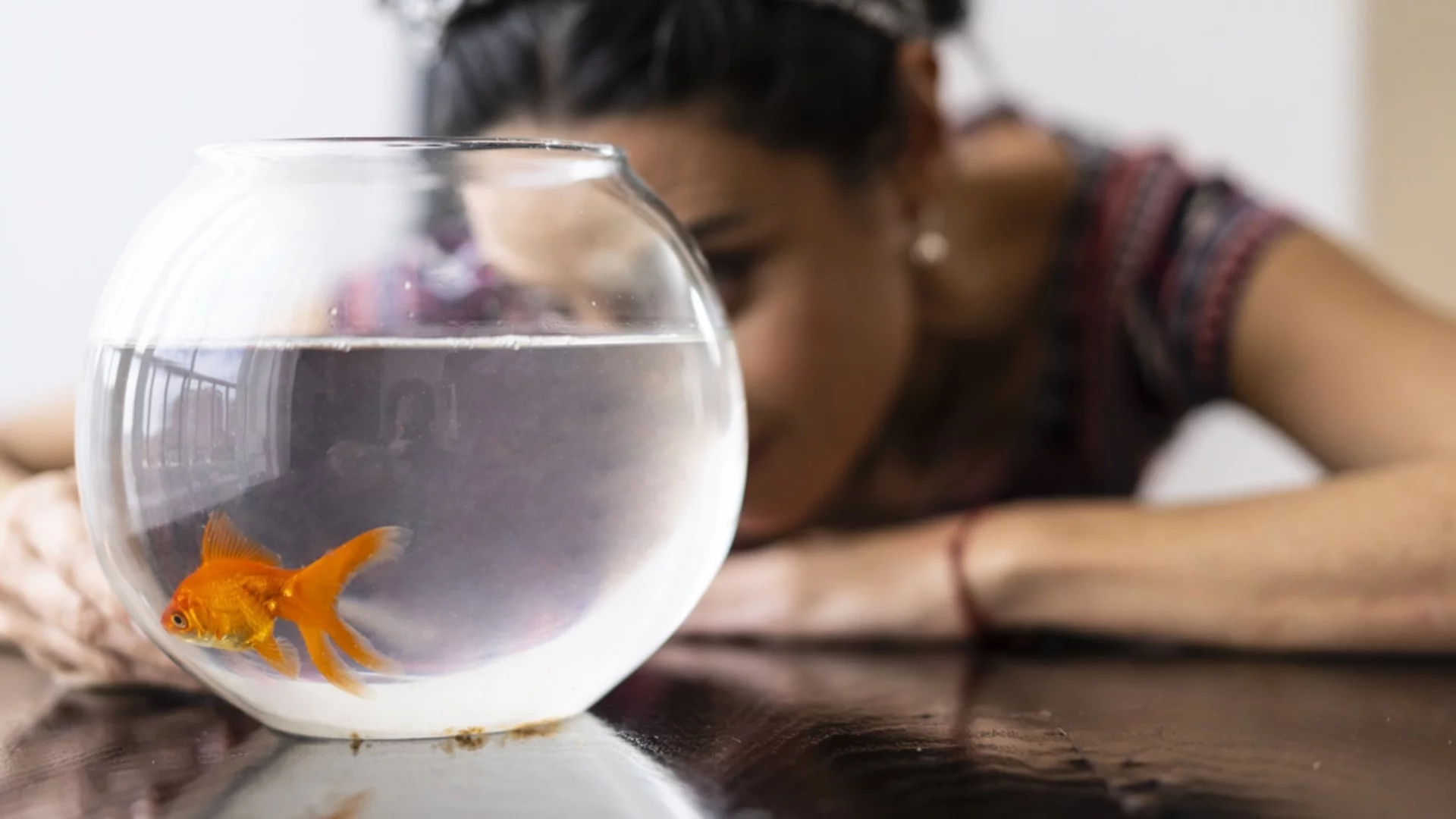 Хороскоп за утре, 5 март: Рибите ще уловят златната рибка, а Раците ще останат с празни ръце