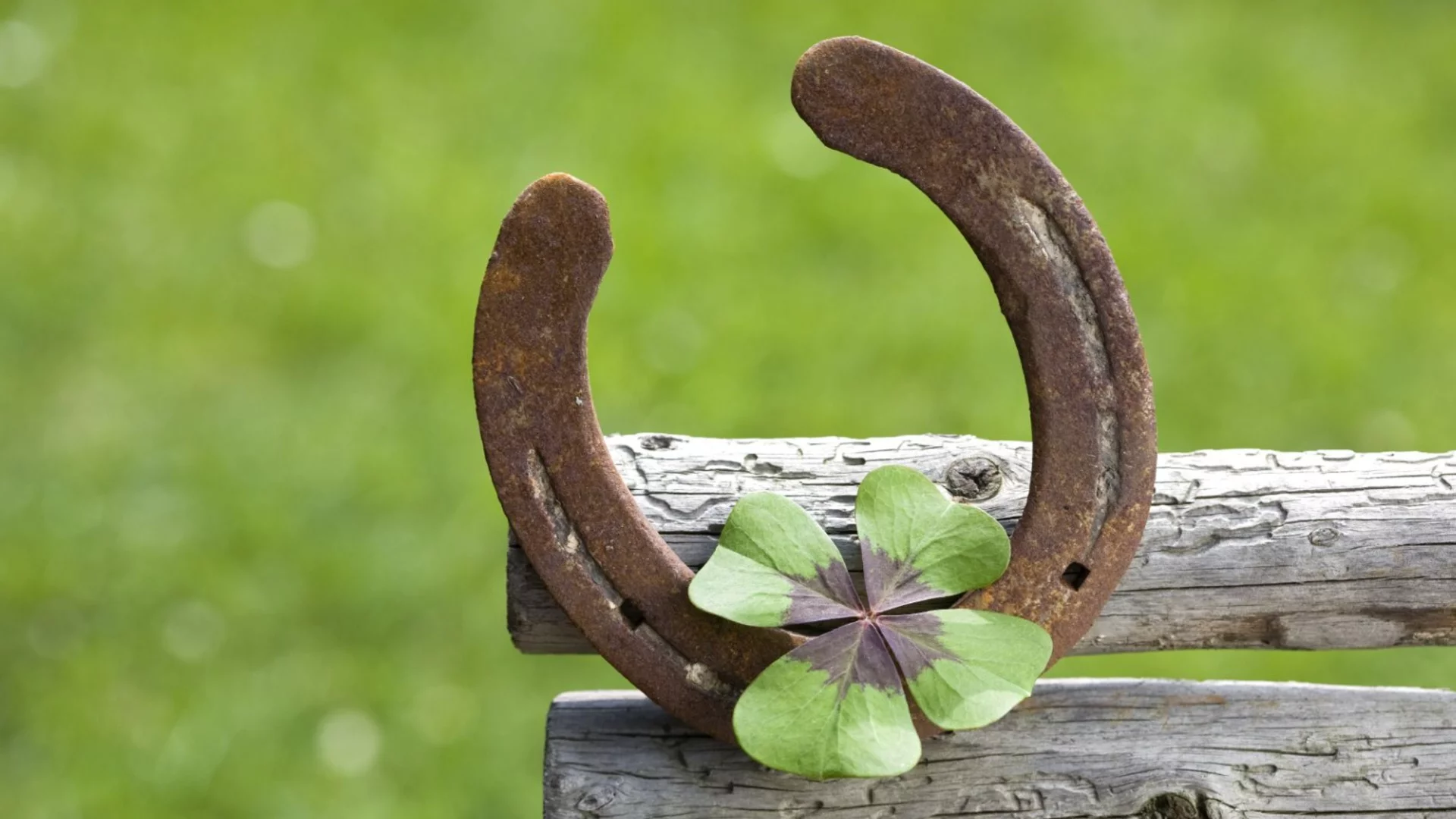 4-те зодии, които ще имат много късмет през седмицата, 02 - 08 март 2026