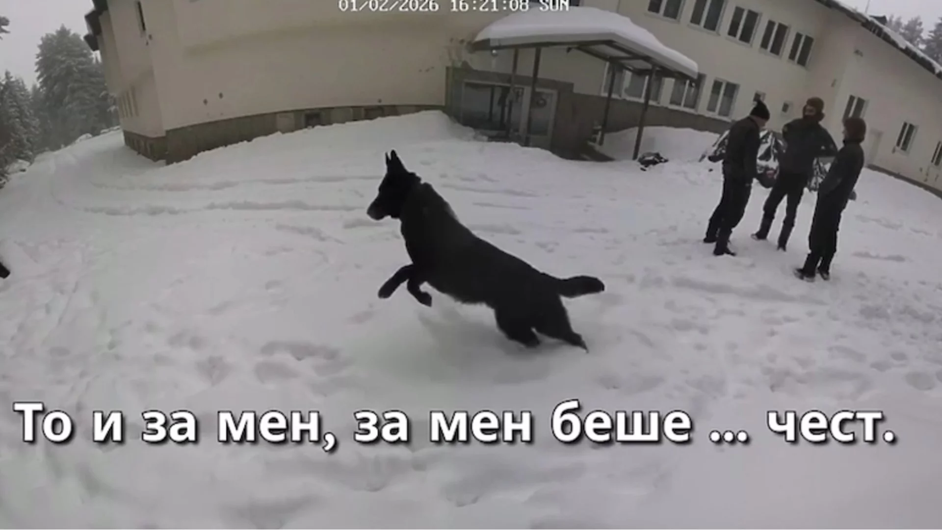 6 трупа и танго на плаца