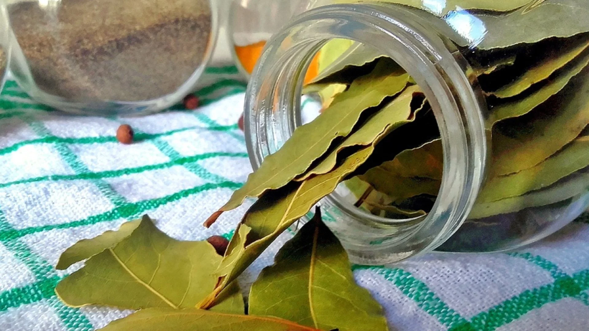 Какво се случва в тялото, ако пиете чай от дафинов лист на гладно в продължение на три дни?