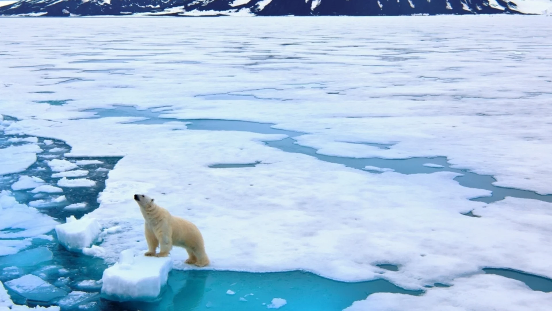 Арктика бързо става все по-шумна: Учените бият тревога