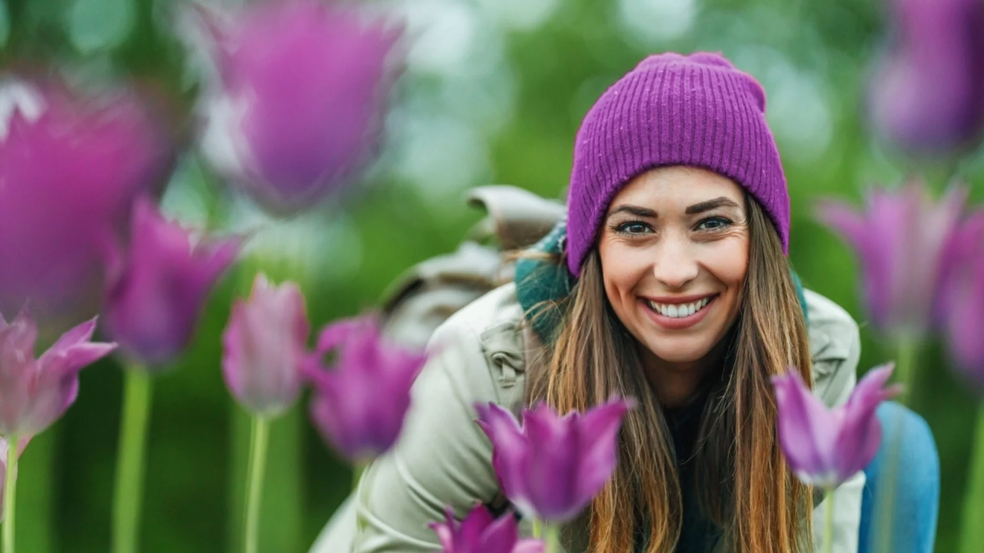 Изберете цвят лале, за да разберете какъв е характерът ви