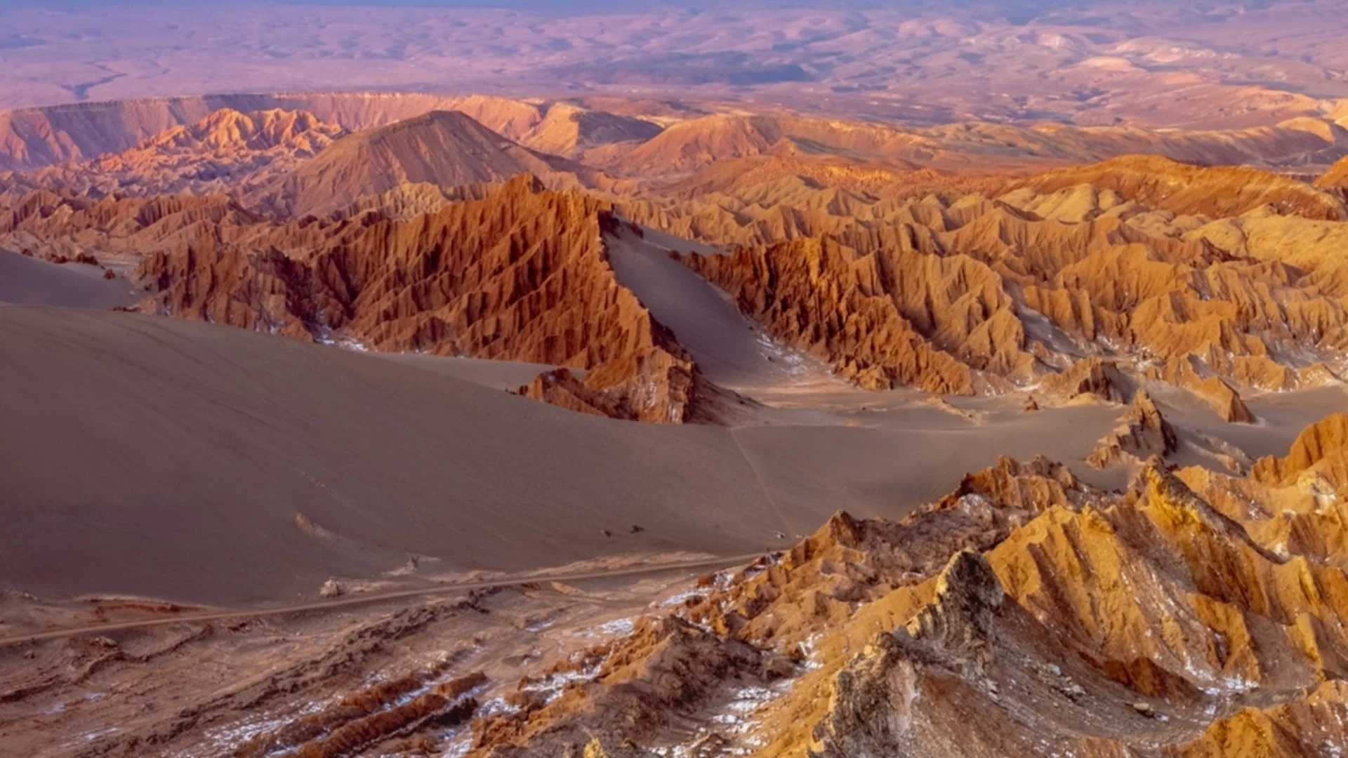 Учени започнаха разкопки в една от най-сухите пустини в света: Какво откриха