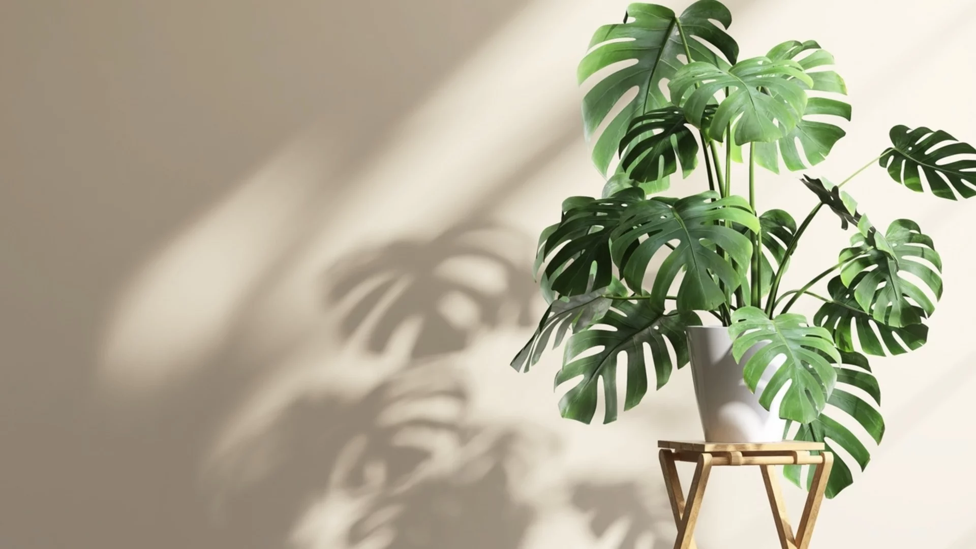 Това растение символизира изобилие и просперитет