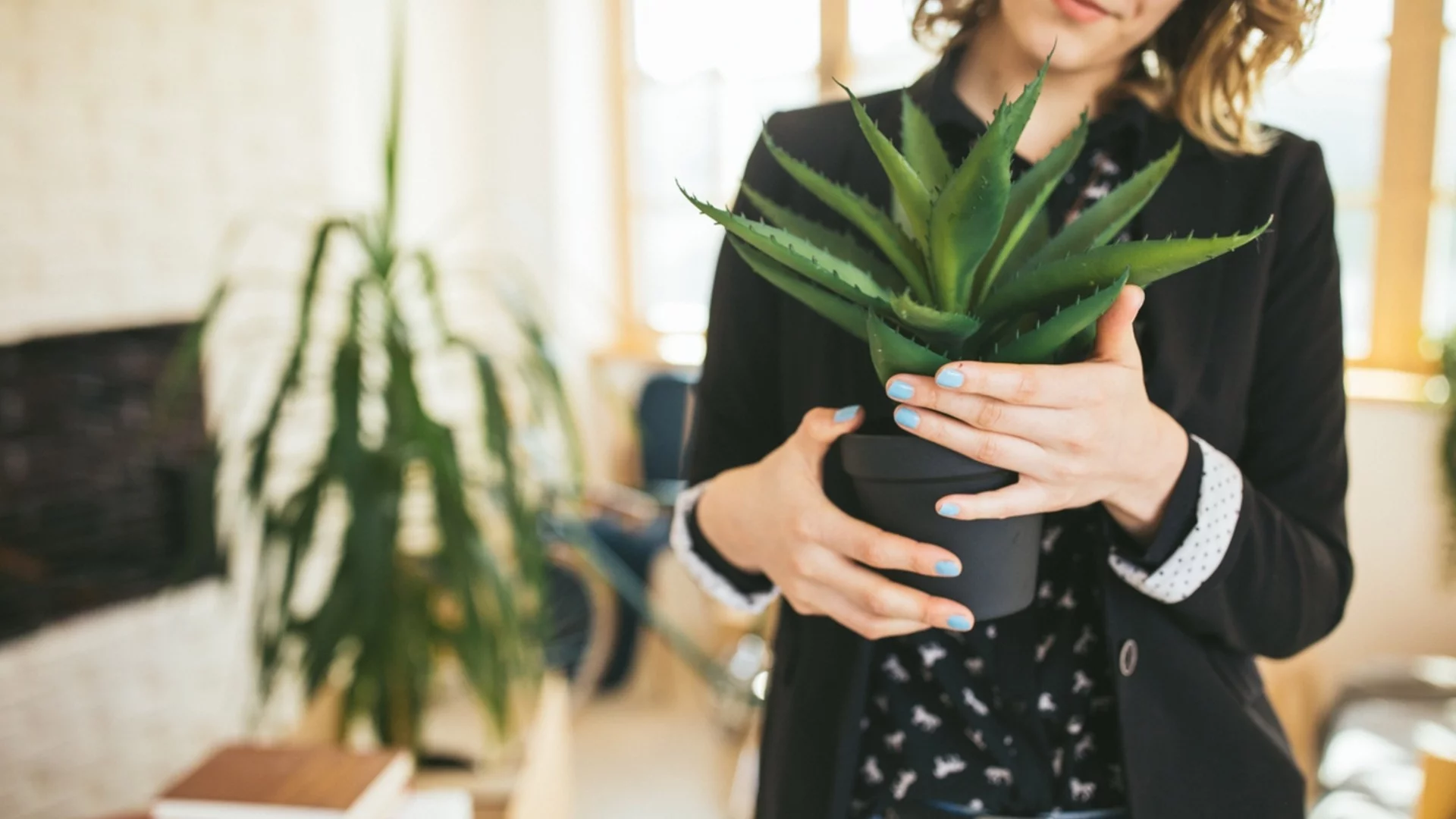 Детокс на пространството и пречистване на въздуха: Какво растение да поставите във всяка стая