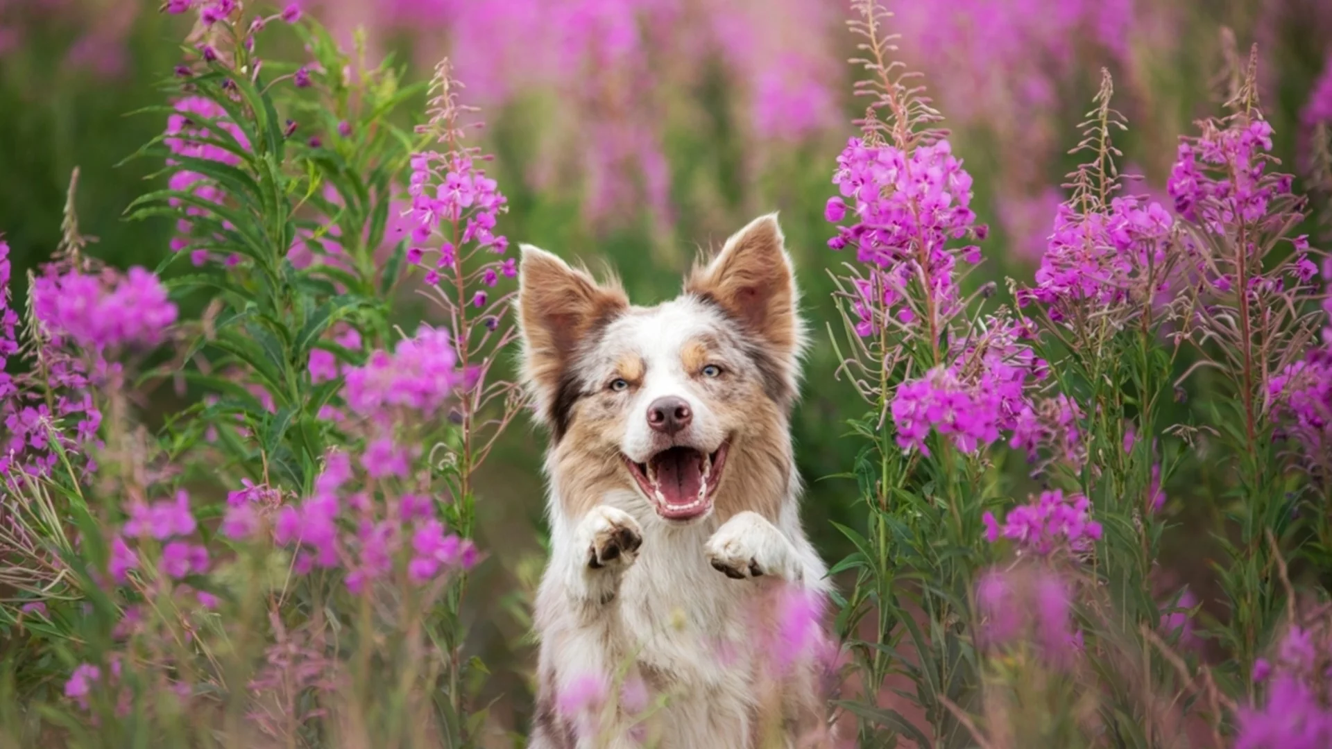 Отиват ли си отрицателните температури? Седмична прогноза за времето за 9-15 март 2025 г. 