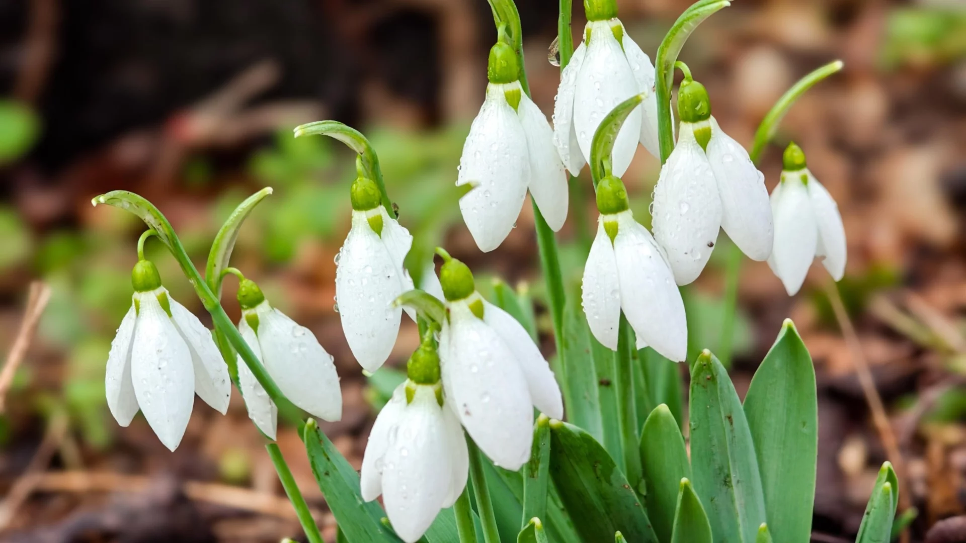 Прогноза за времето - 7 март 2026 г. (събота)