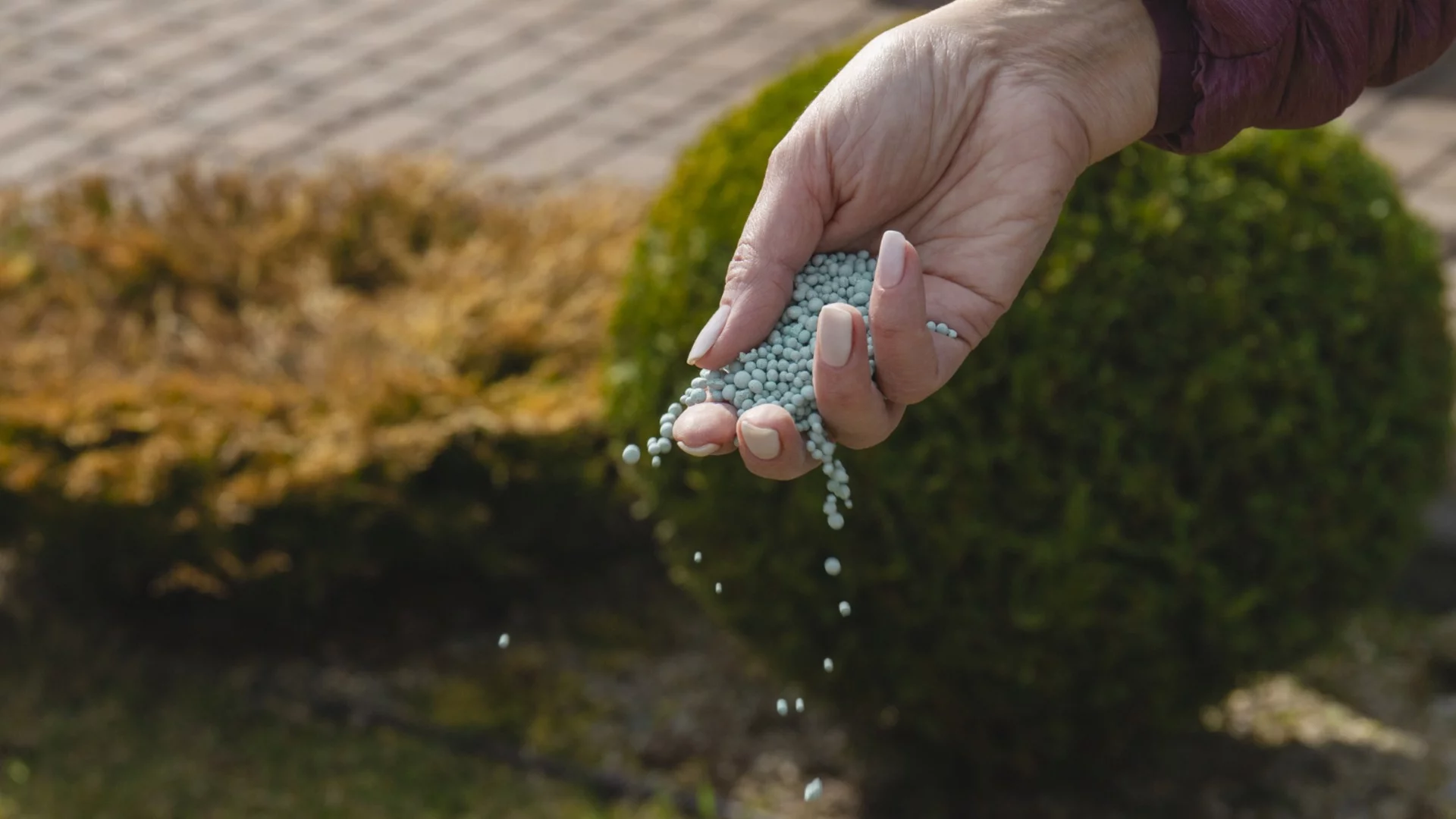 Земеделци в Германия: Задава се криза с торове и горива заради войната в Близкия изток