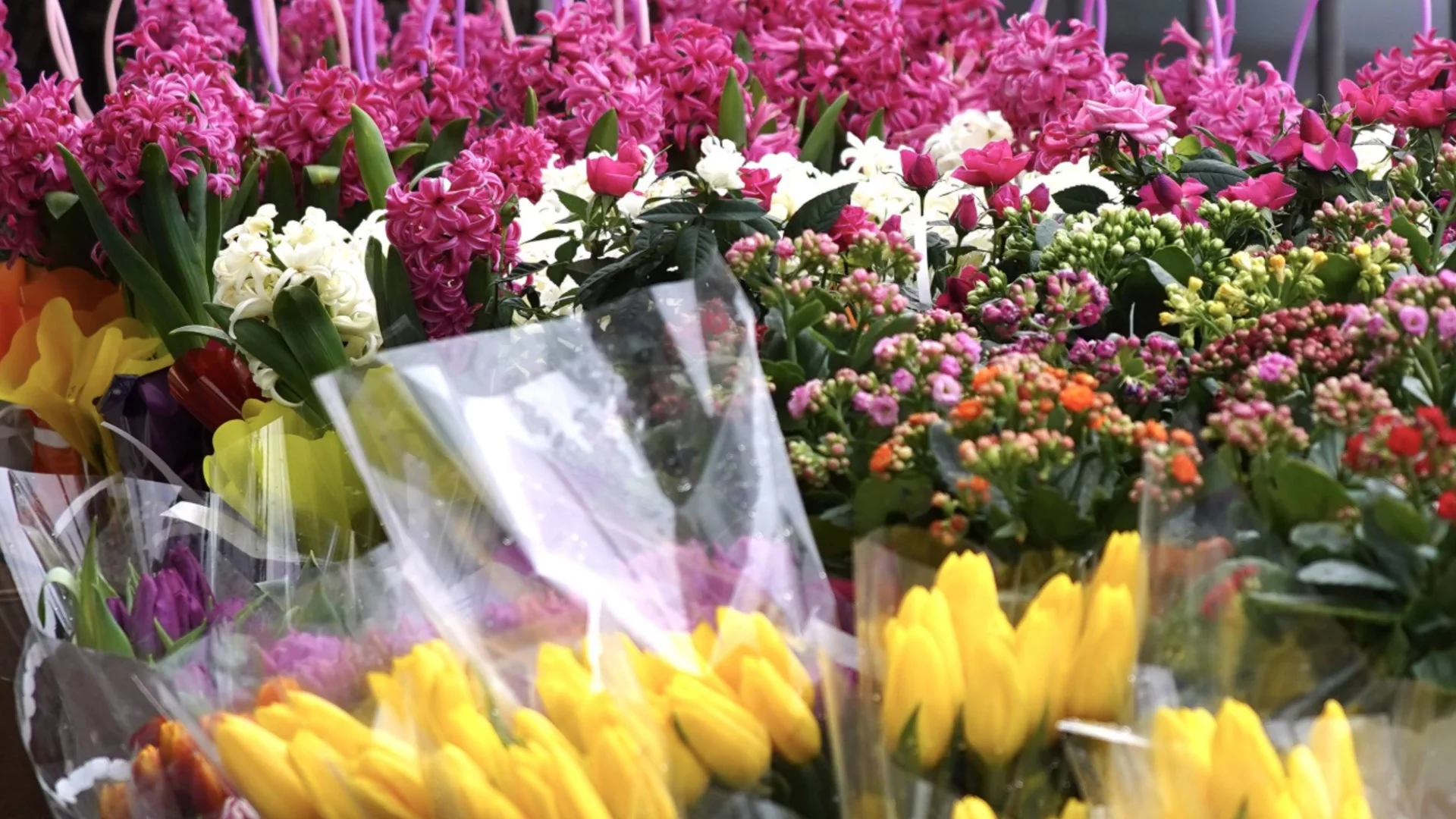 Мисия „Осми март“: Топ тенденциите при подаръците за дами през 2026