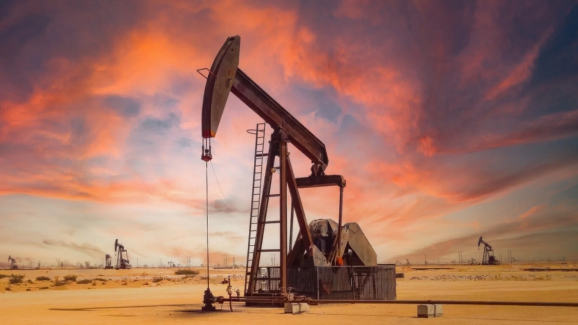 Петролът заши звучен шамар на повтарящия "само глупаците мислят различно" Тръмп (ВИДЕО)