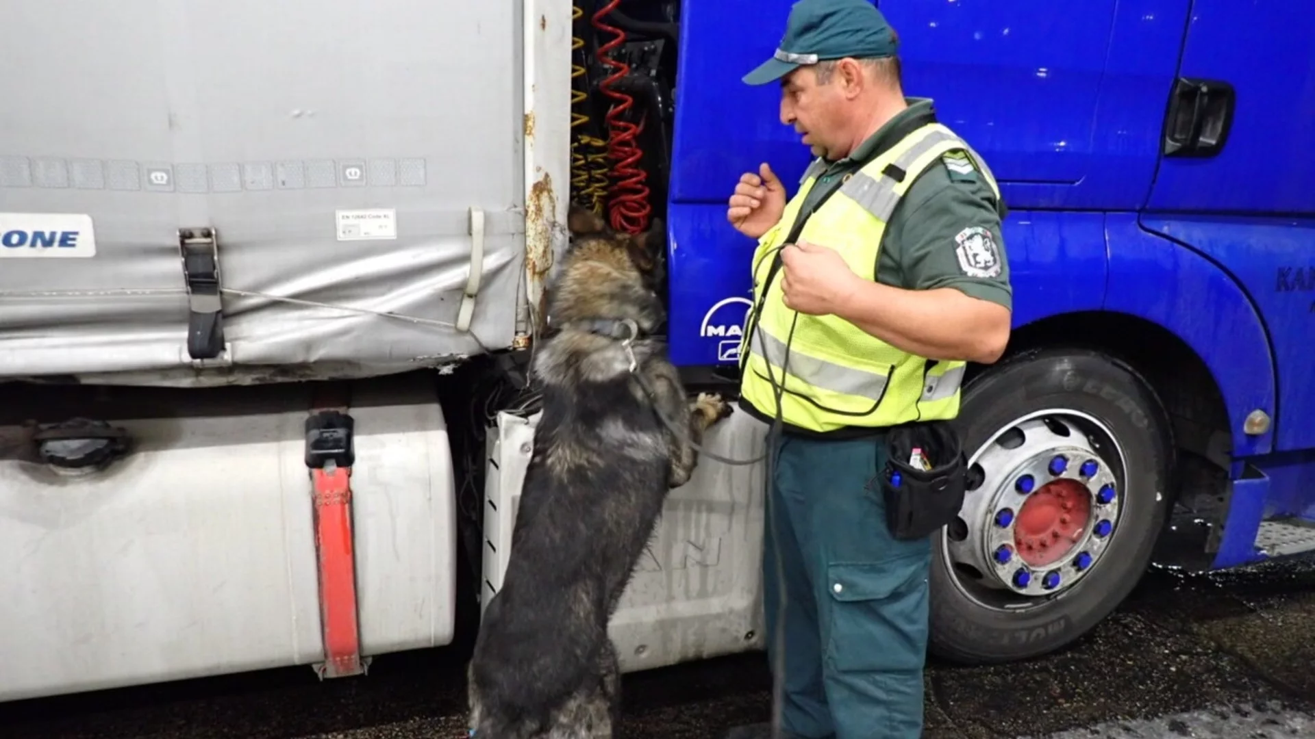 Служебното куче Пирин надуши близо 50 кг марихуана