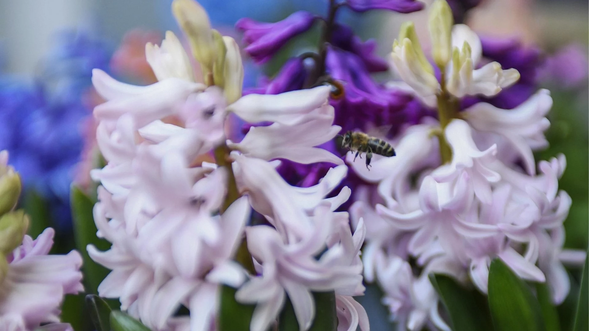 Прогноза за времето - 10 март 2026 г. (вторник)