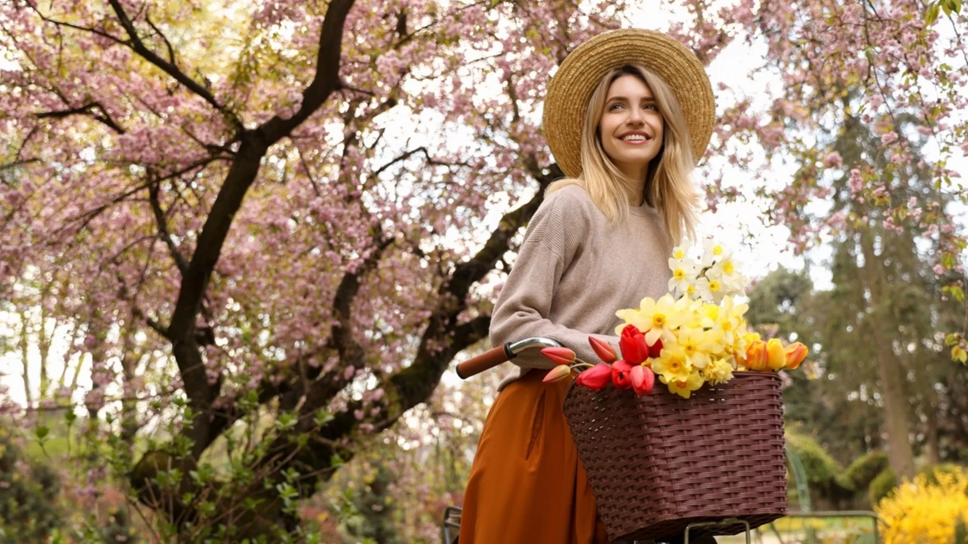 Идва времето на облеклото "тип зелка": Проф. Рачев с оптимистична прогноза