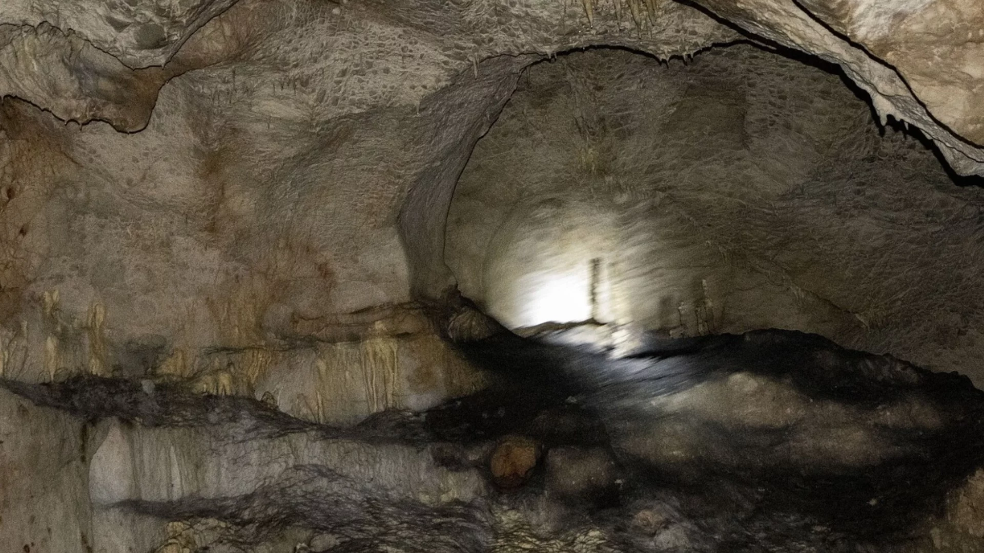 Откритие в пещера в Ню Мексико сочи къде може да съществува живот извън Земята