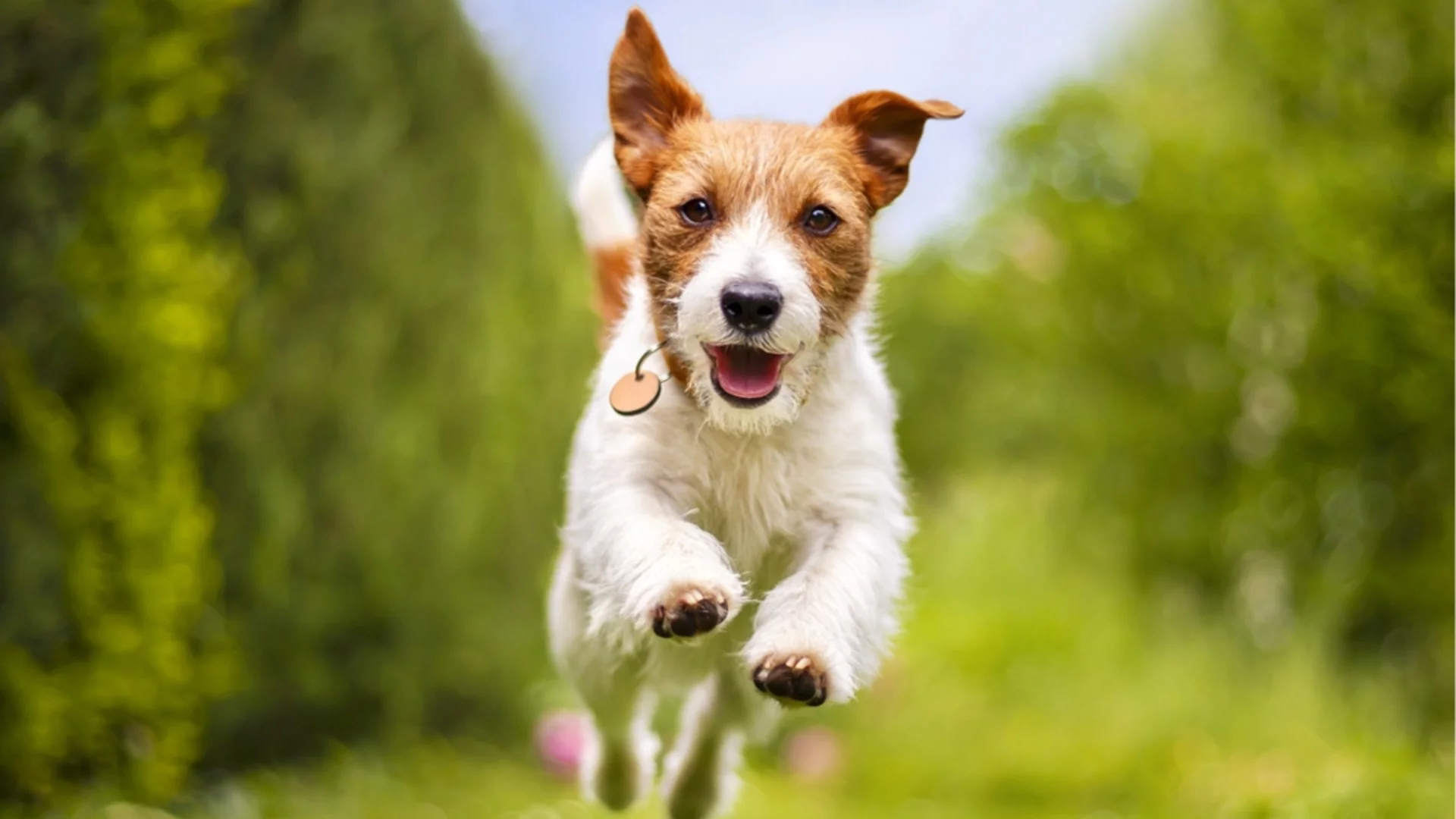 Прогноза за времето - 11 март 2026 г. (сряда)