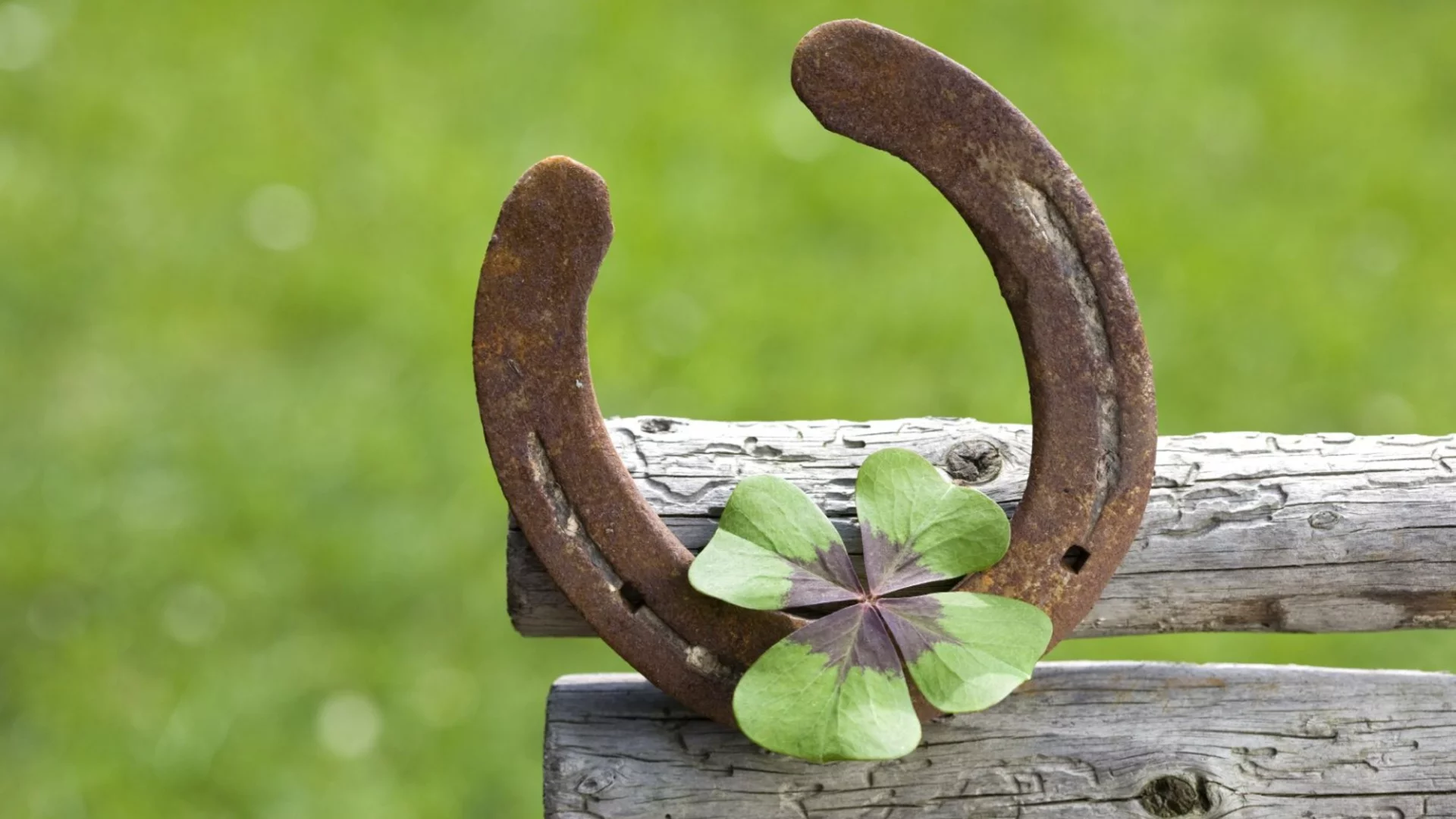 4-те зодии, които ще имат много късмет през седмицата, 09 - 15 март 2026