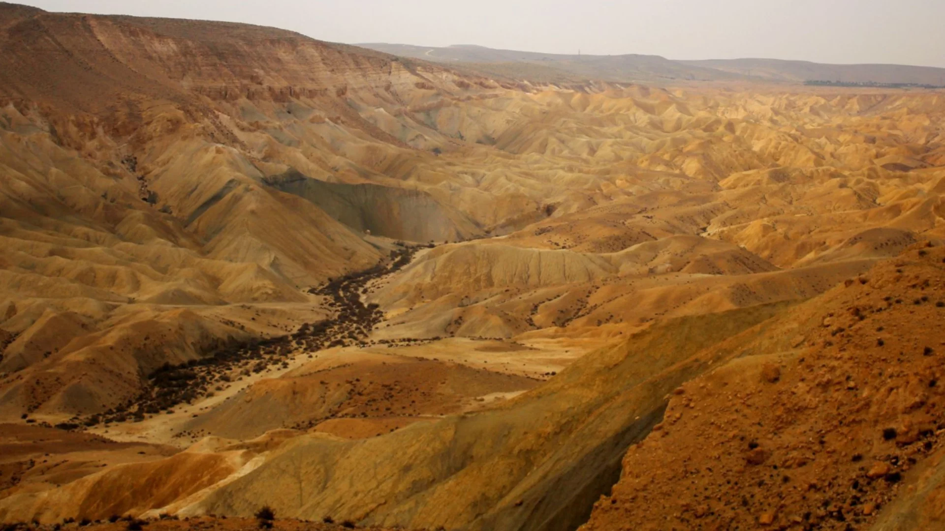 Археолози откриха древна военна крепост в пустинята Синай