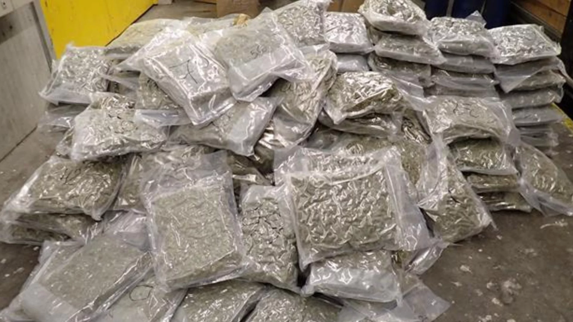 Канабис в плик в гората: Задържан е непълнолетен