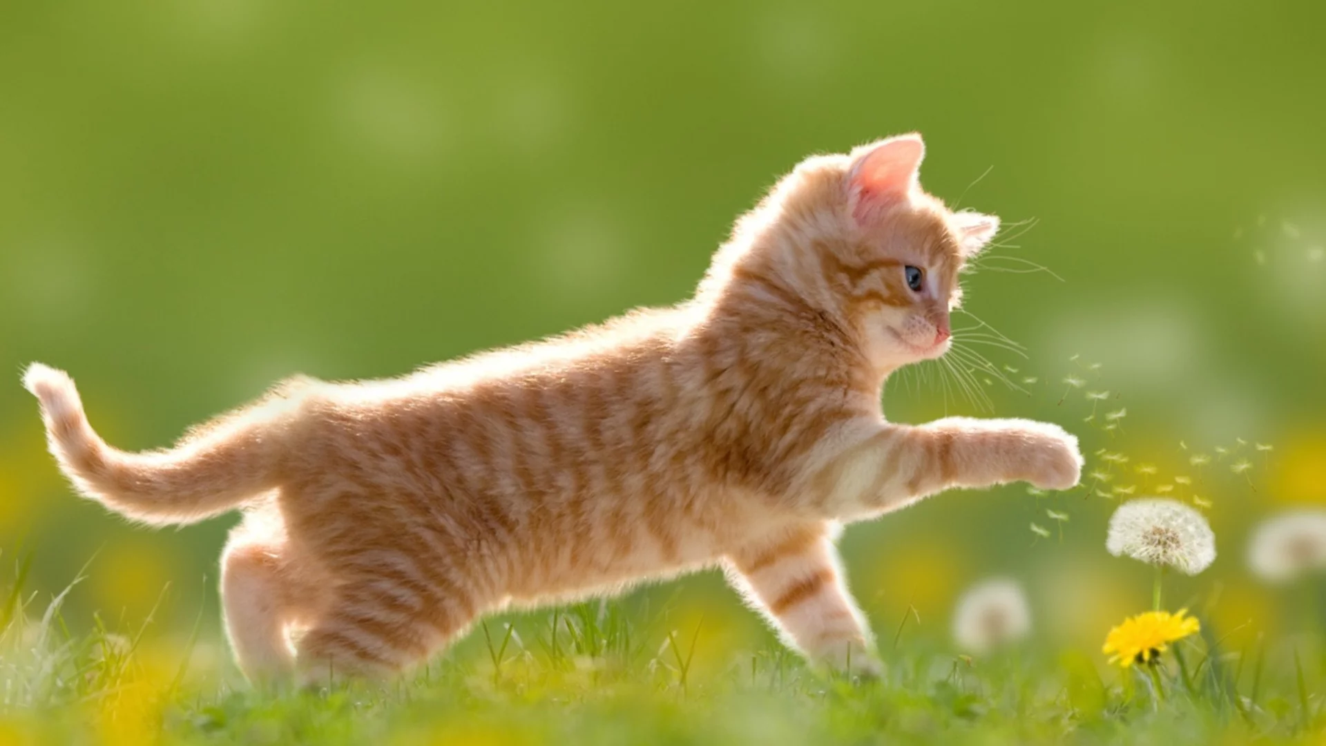 Хороскоп за утре, 14 март: Щастието ще почука на вратата на Везните, а Лъвовете ще настъпят мотиката