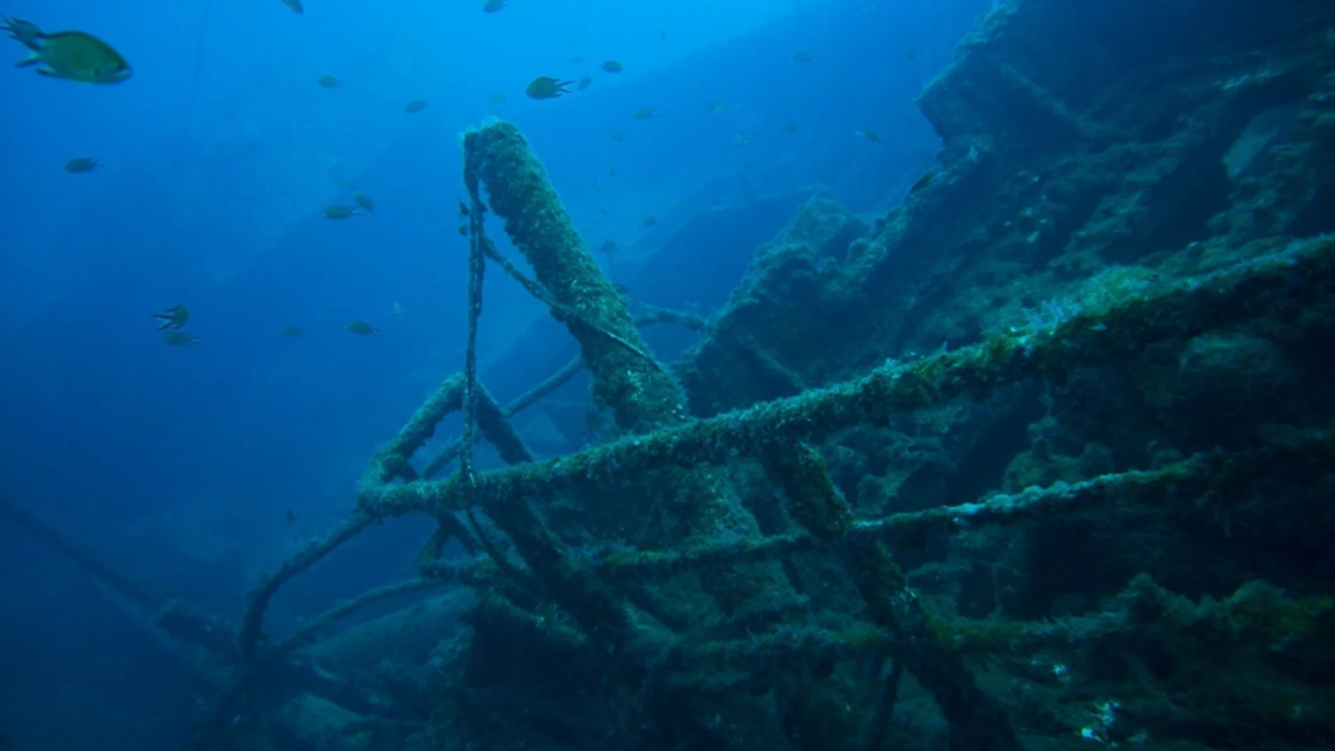 След мощна буря в Англия: Археолози откриха потънал кораб на 400 години