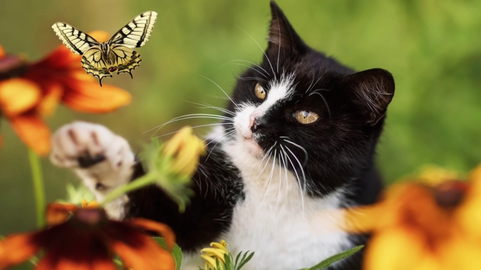 Времето утре - 13 март 2026 г. 