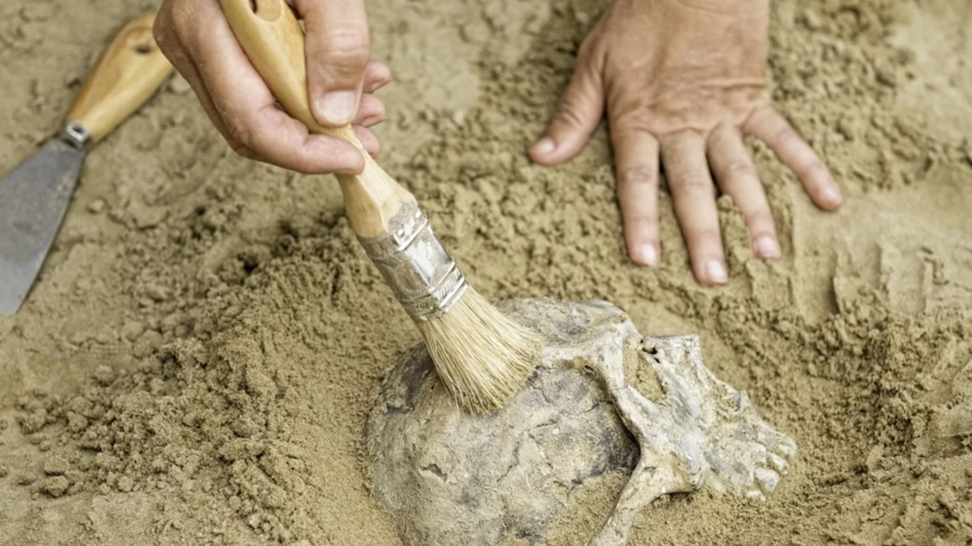 Мистериозна древна общност, живяла под земята в продължение на векове, е открита в Испания