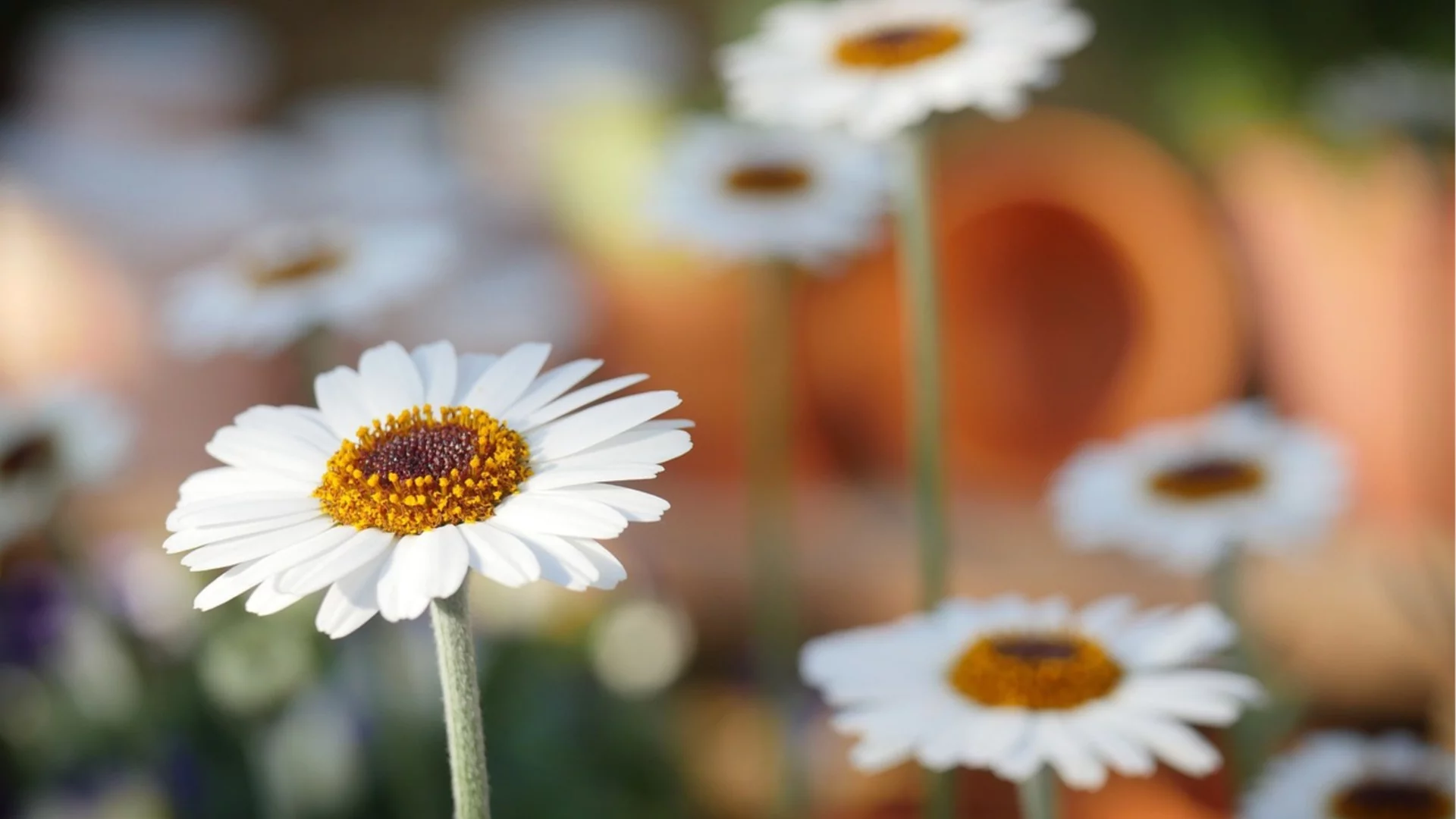 Прогноза за времето - 13 март 2026 г. (петък)