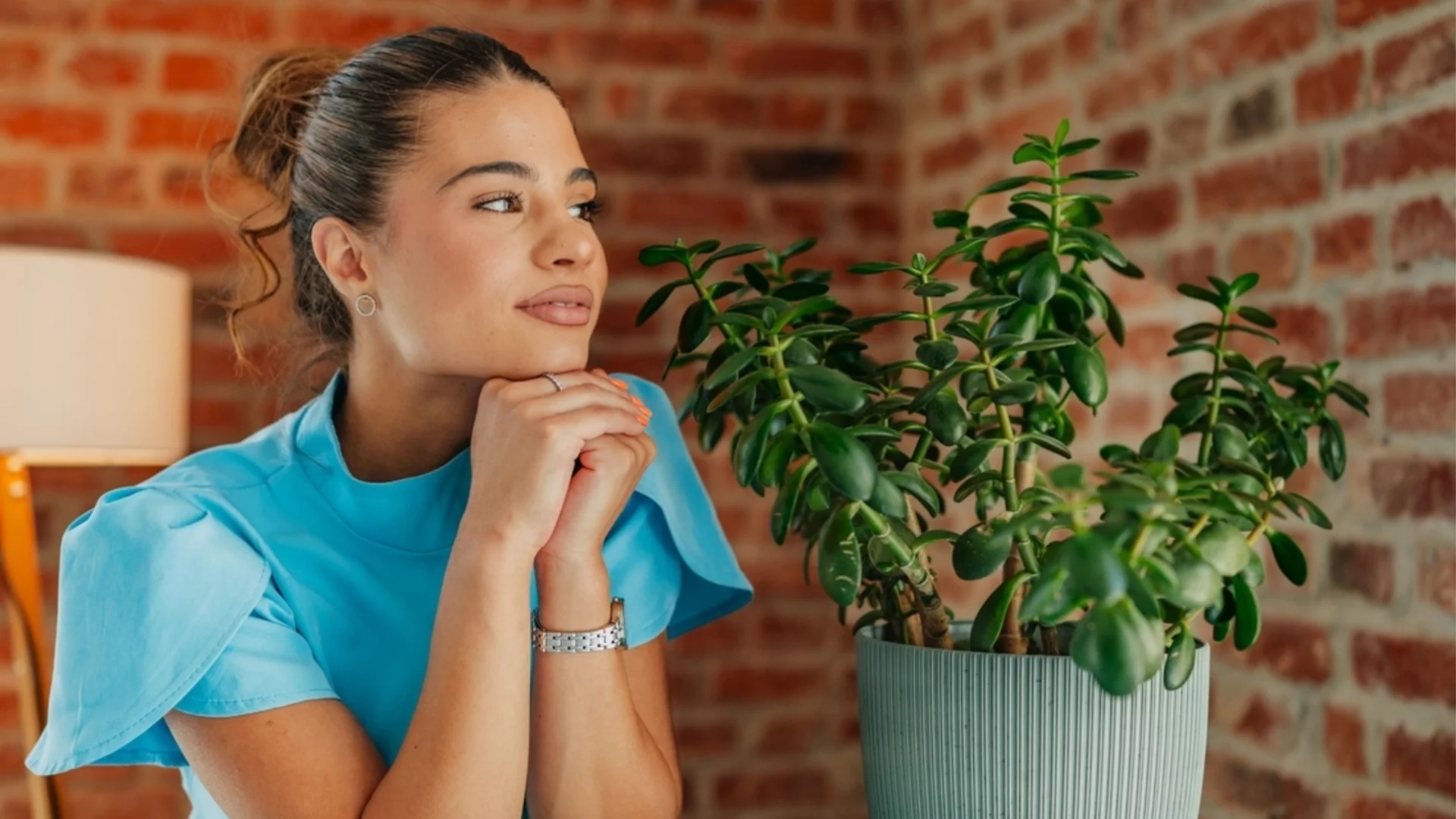 4 златни правила за отглеждане на пищна красула