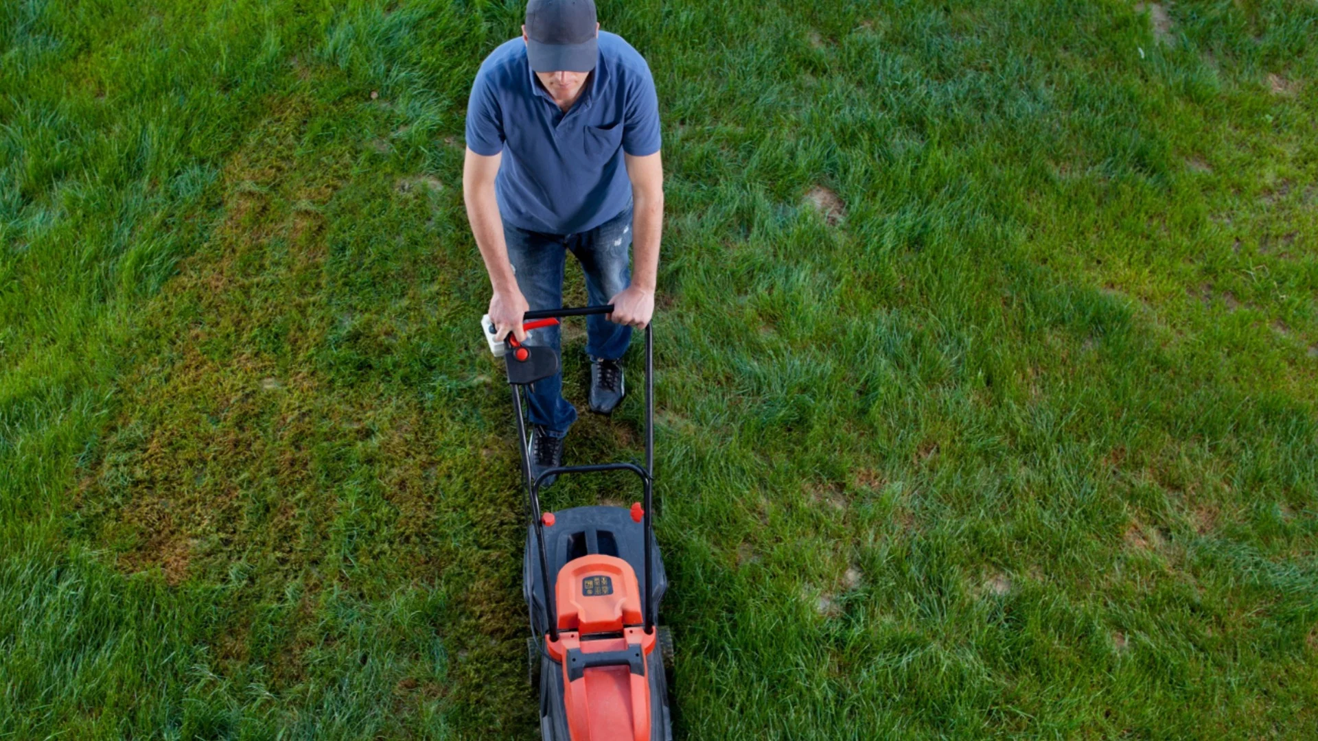 Кога да косите тревата си след зимата за най-гъста и зелена трева