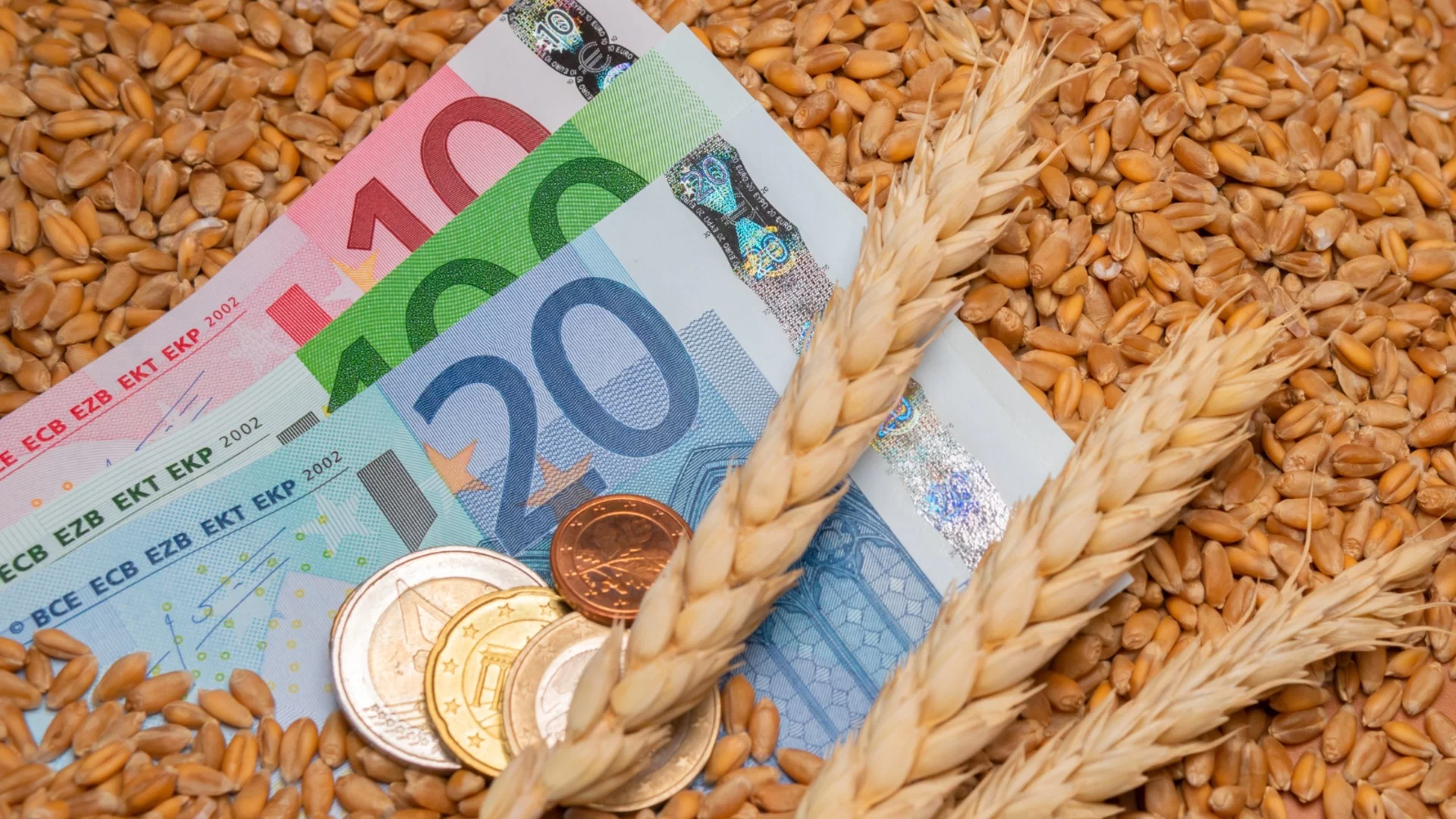 Пшеницата и царевицата поскъпват на световните борси