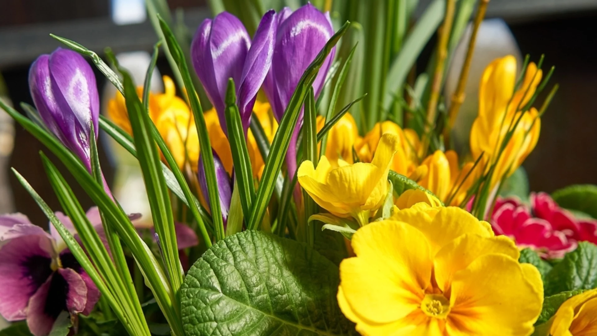 Прогноза за времето - 15 март 2026 г. (неделя)