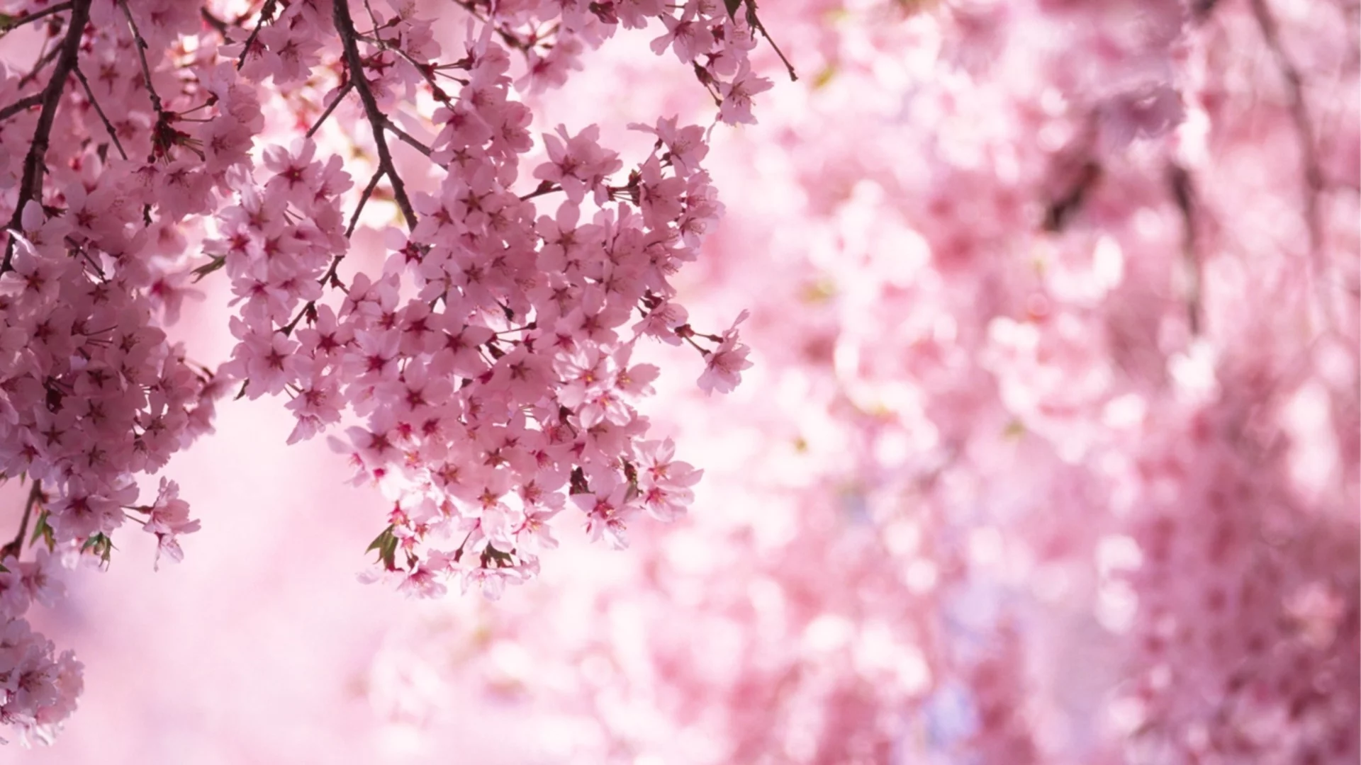 Прогноза за времето - 16 март 2026 г. (понеделник)