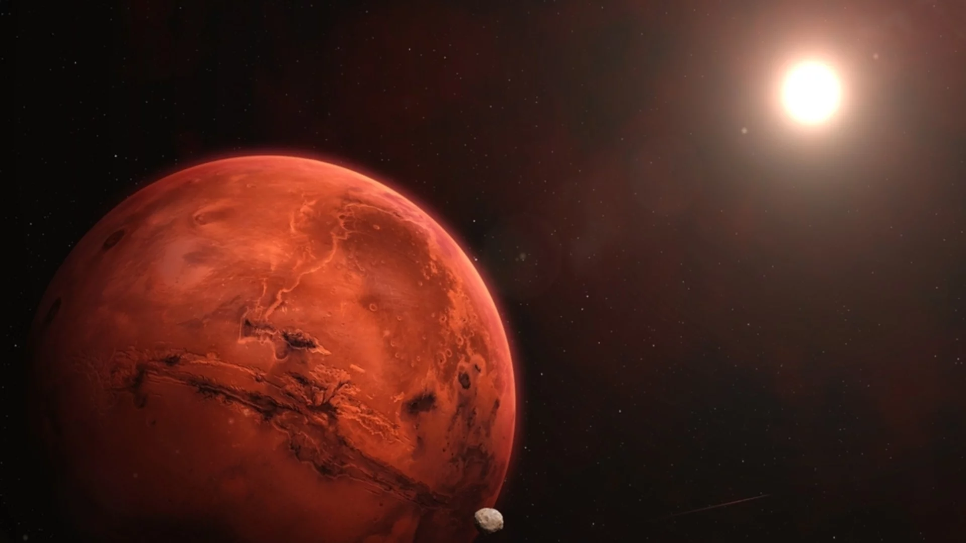 Живот на Марс: Изображения от НАСА разкриват следи от пчели и влечуги