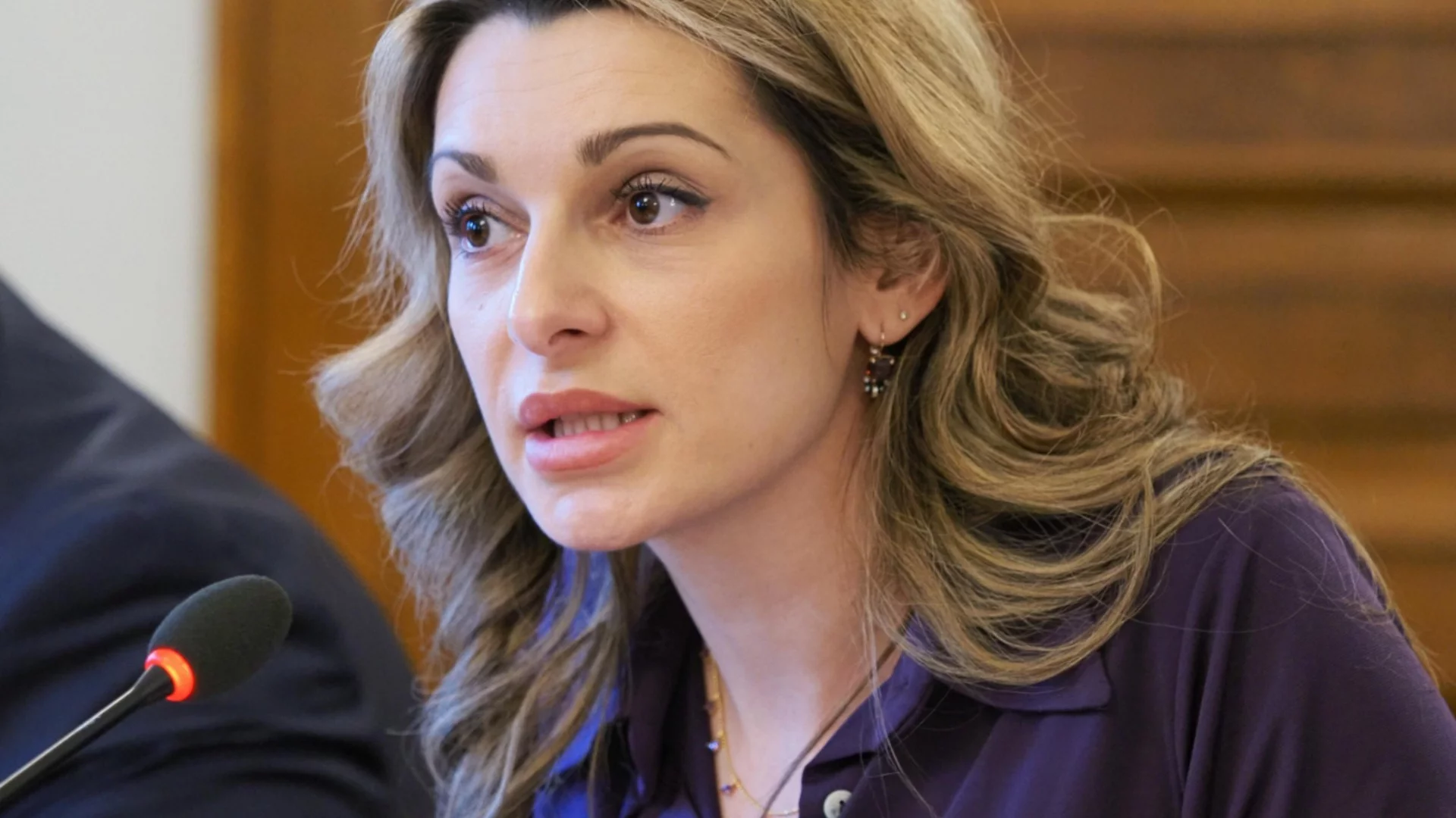 ИТН се сетиха за референдума си преди 10 години: Искат 0.51 евро партийна субсидия