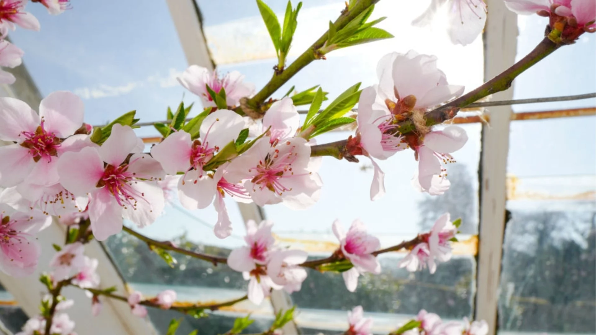 Прогноза за времето - 18 март 2026 г. (сряда)
