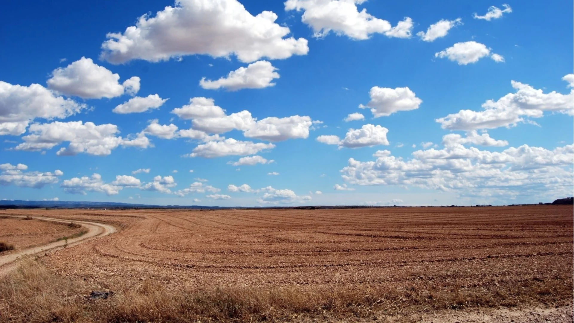 АГРИОН предлага земеделски земи под наем и аренда в различни региони на страната