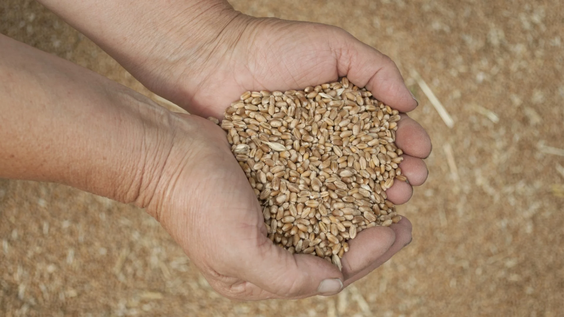 Ормузкият проток не работи, но Иран печели пари, а светът гладува