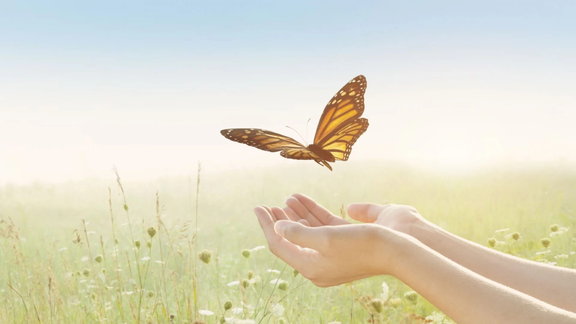 На 19 март: Числото 19 носи Божествено напътствие за нов път пред 4 зодии