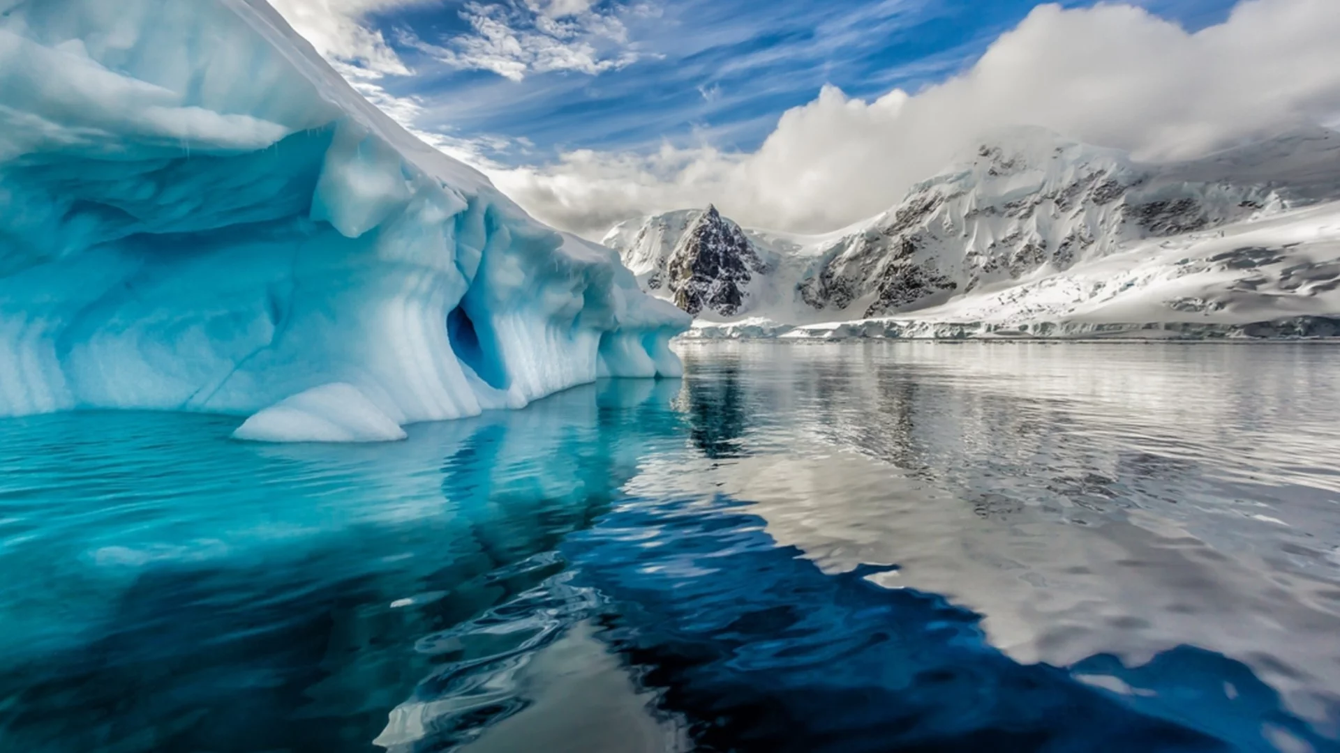 "Многоръко" същество се е крило в Антарктическия океан в продължение на векове: Какво се знае за него