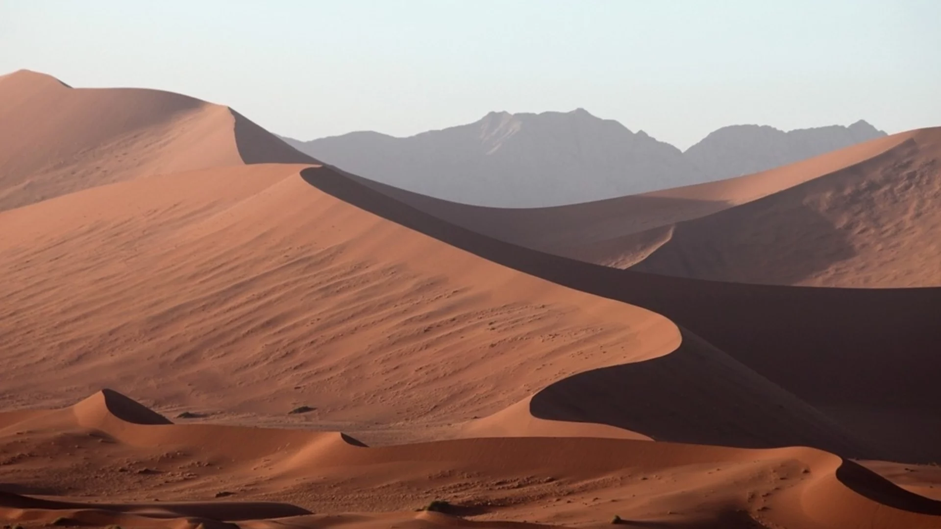 Учени откриха неизвестна досега форма на древен живот в пустинята