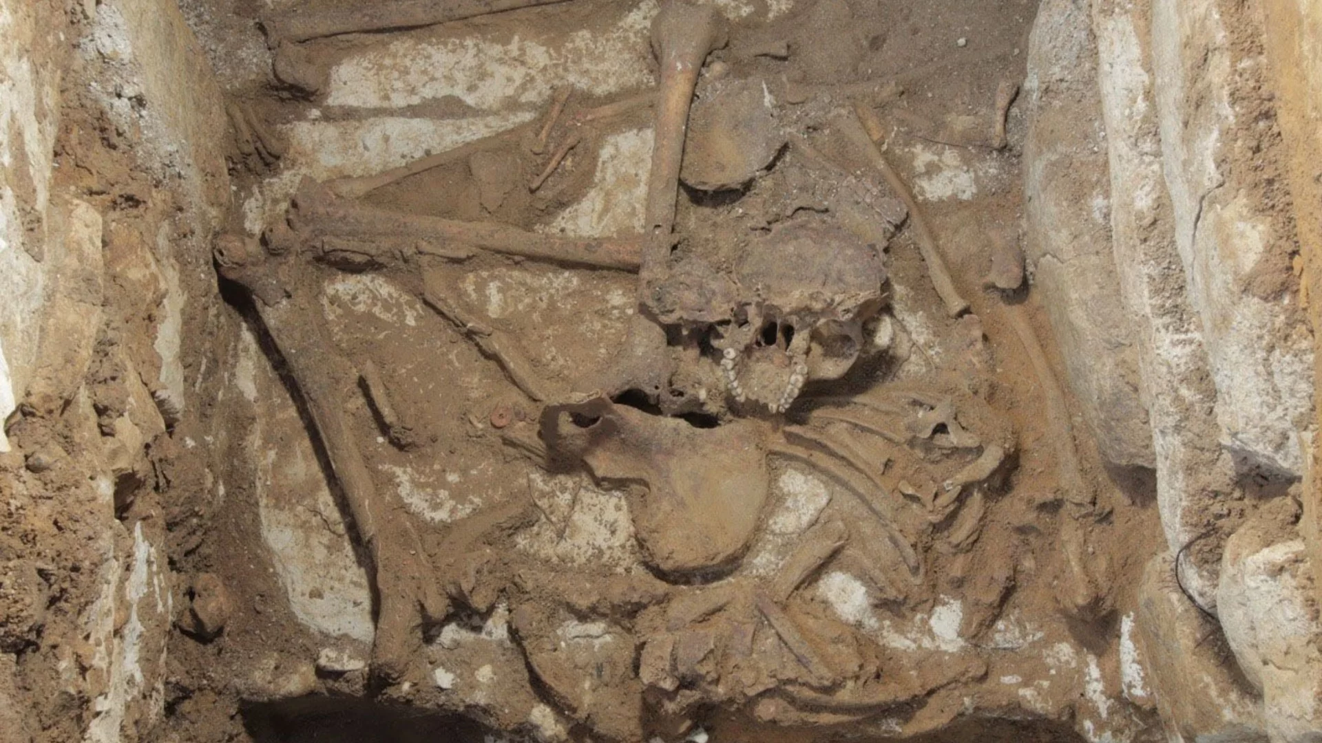 Най-значимото откритие от десетилетия: Откриха древна гробница с бухал в Мексико