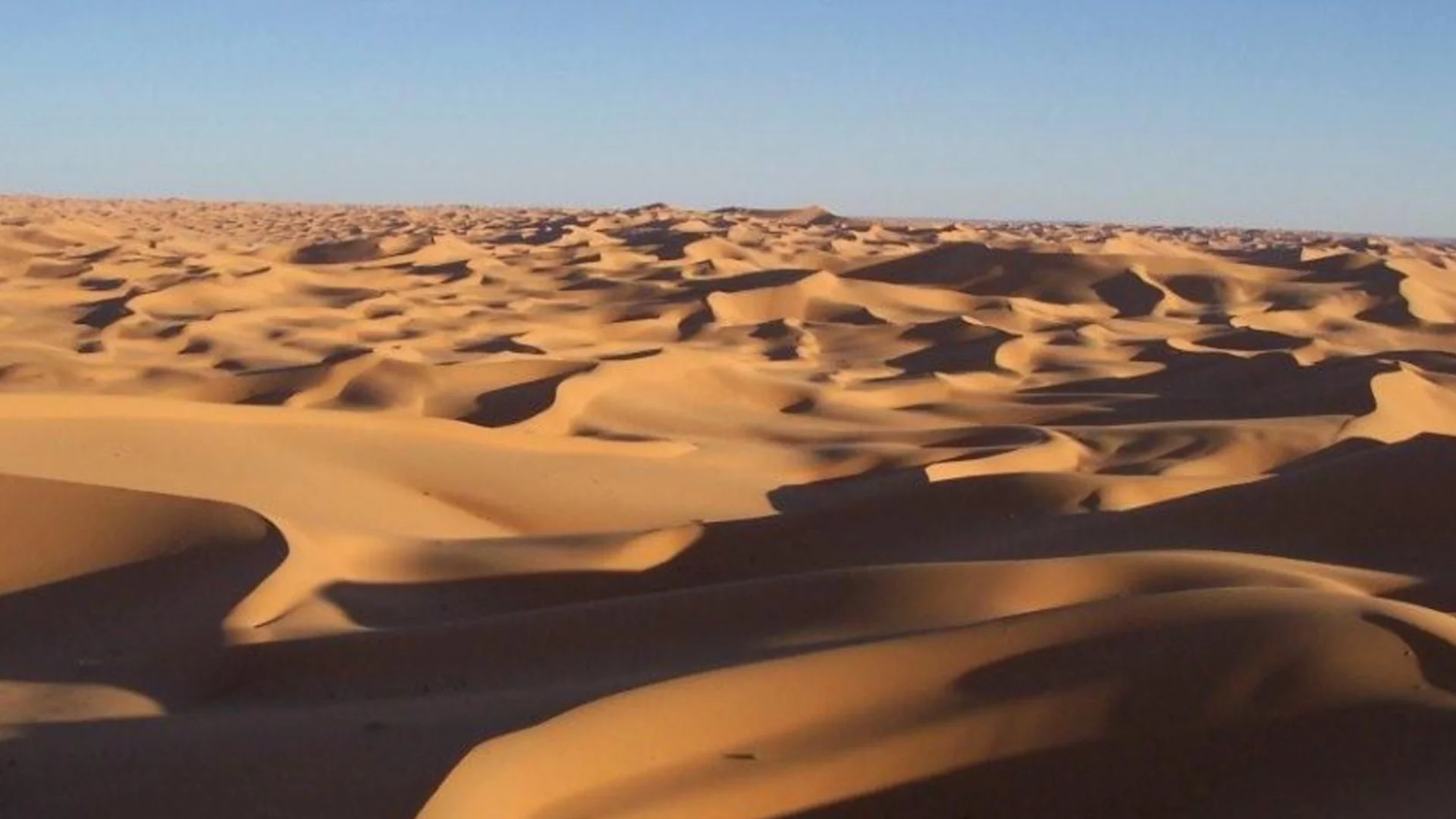 Преди 8000 години Сахара е била зелена и дъждовна: Учените откриха убедителни доказателства