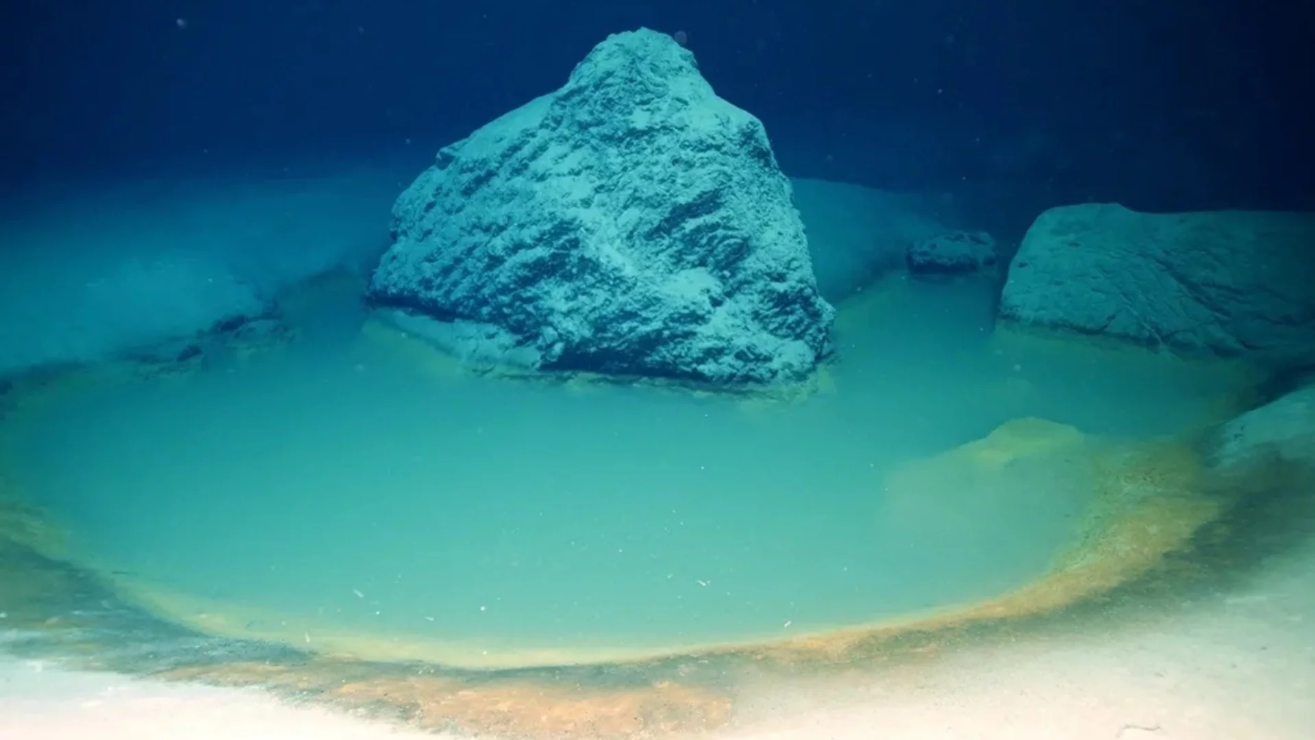 Учени откриха „изгубен свят“ на дъното на Северно море